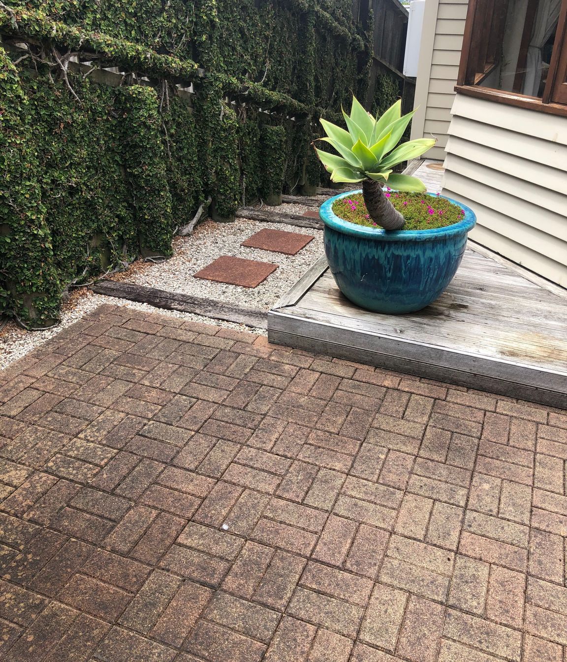 Before and After Photos