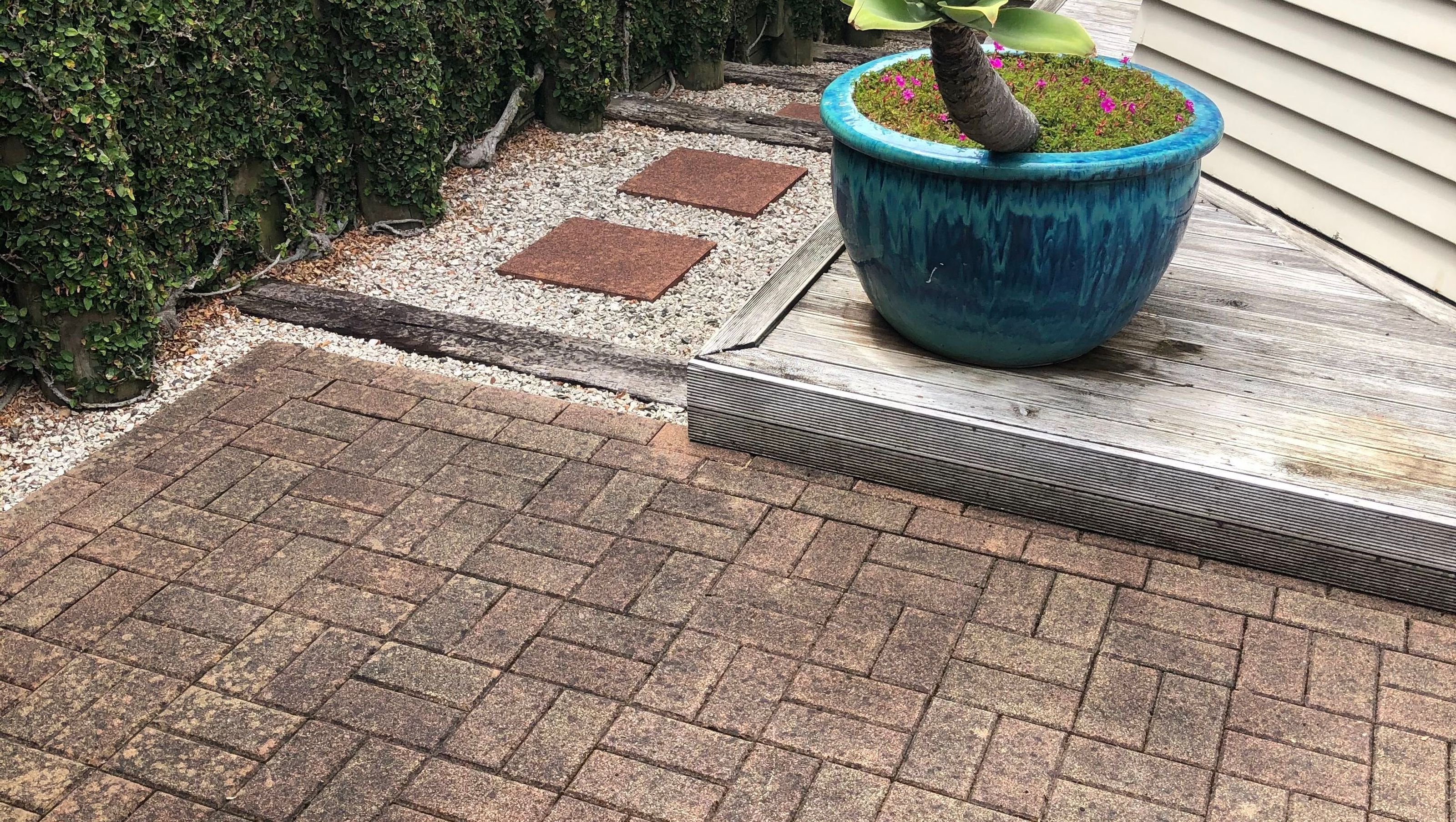 Before and After Photos