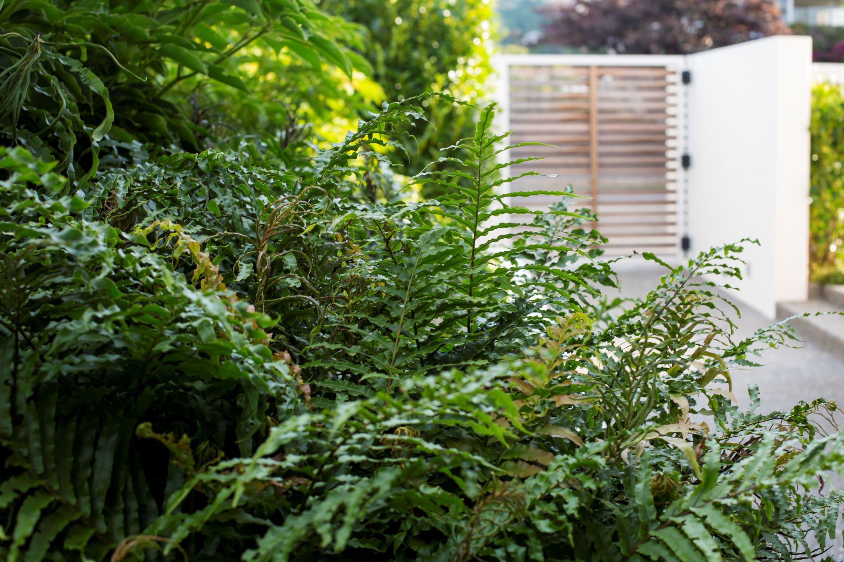 Estuary Garden