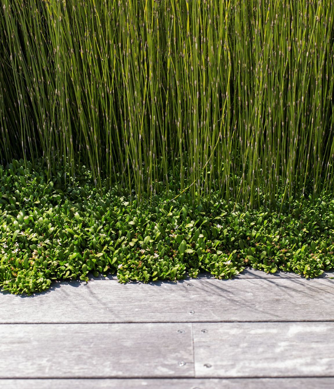 Estuary Garden