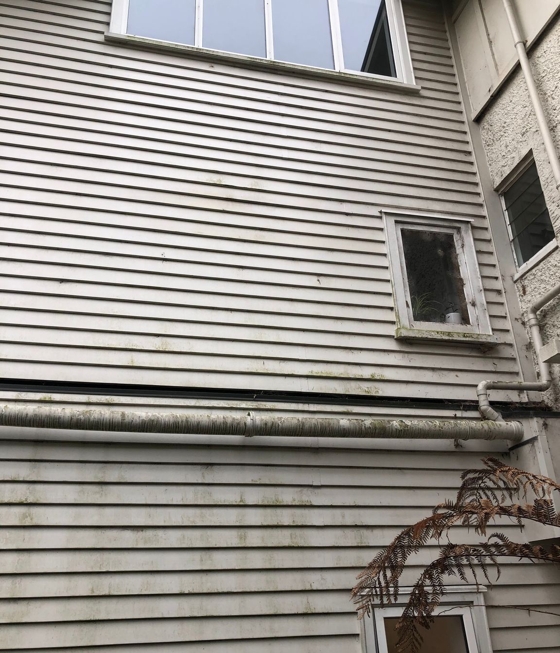 Before and After Photos