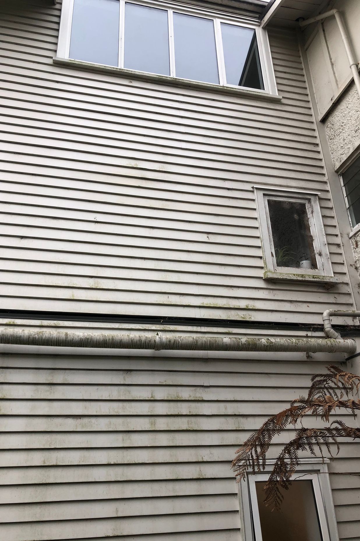 Before and After Photos