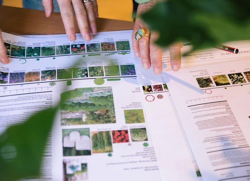 Curated Garden Design