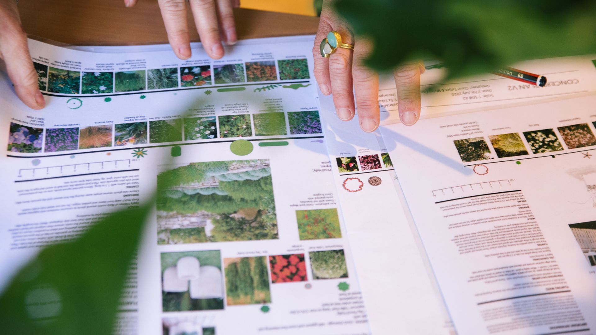 Curated Garden Design banner