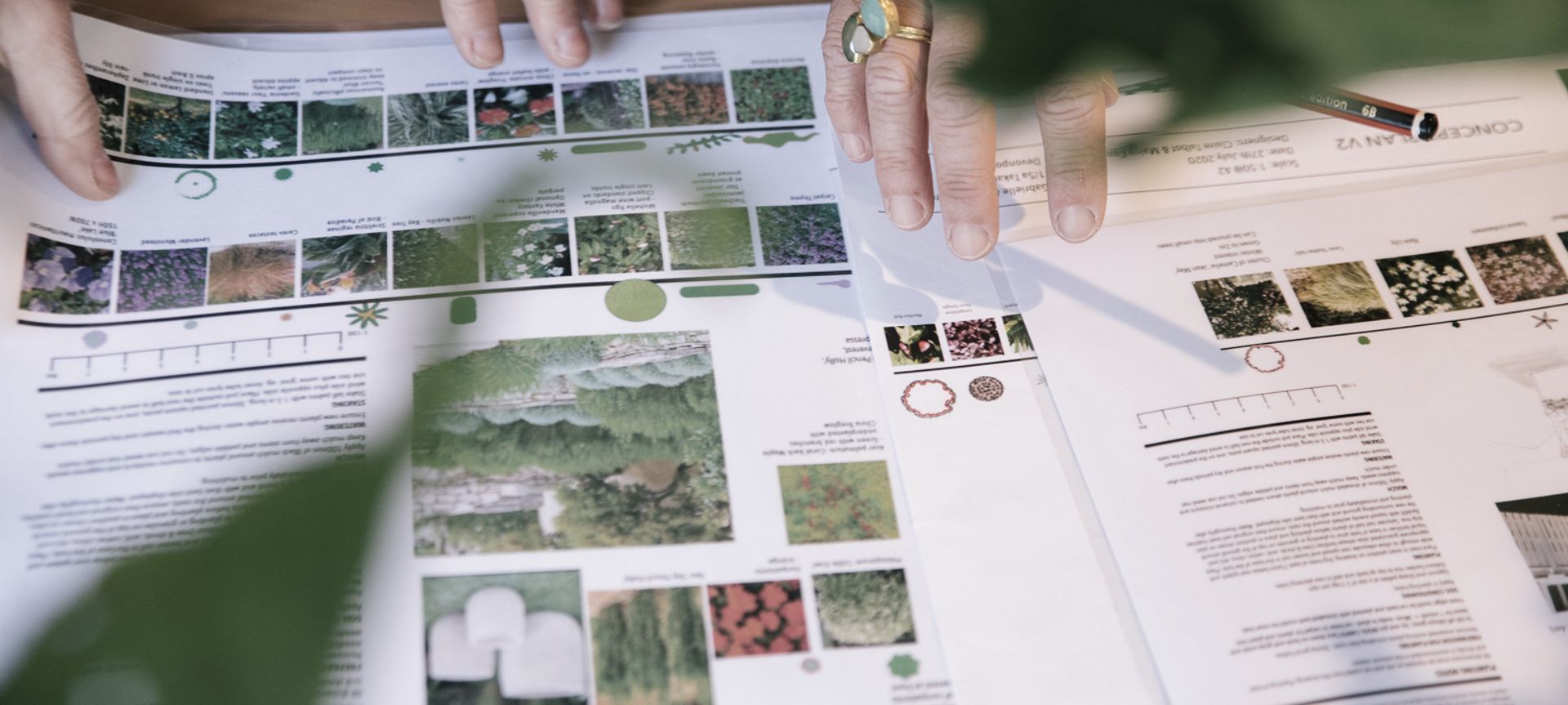 Curated Garden Design banner