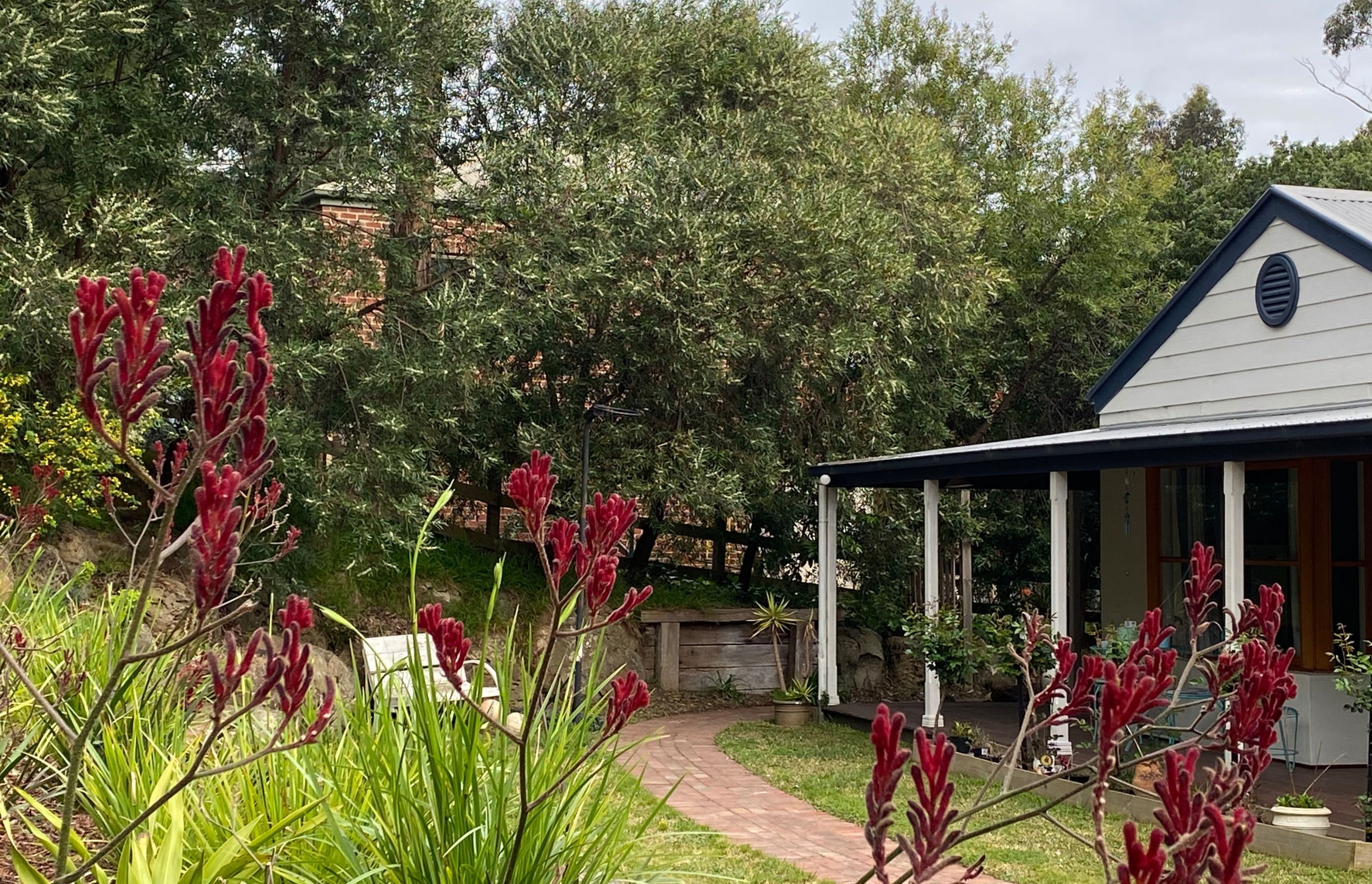 House Among The Gum Trees