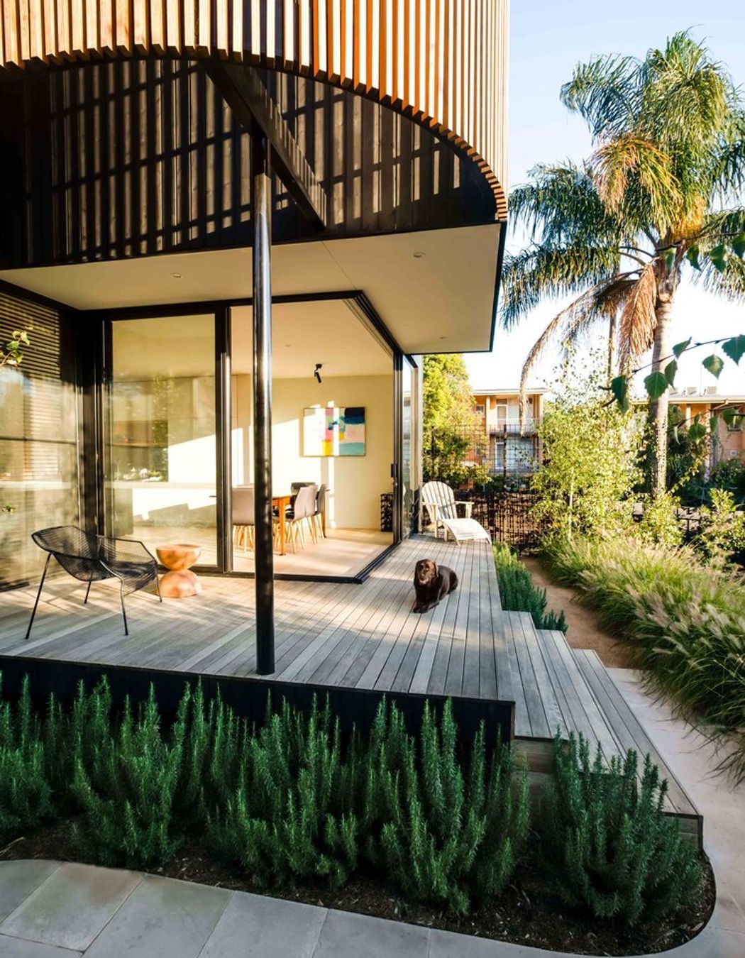 Fountain Grass Garden