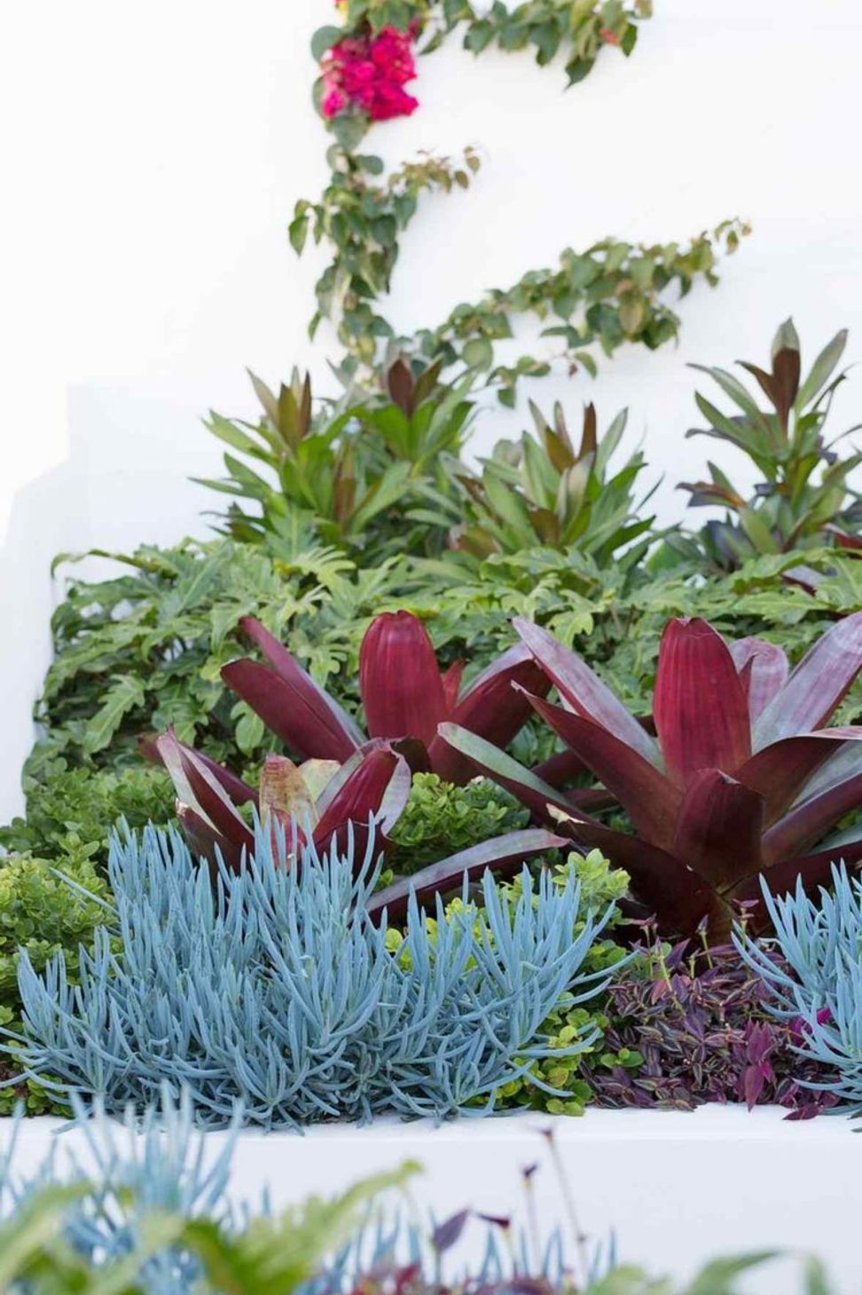 Rozelle - Garden 2