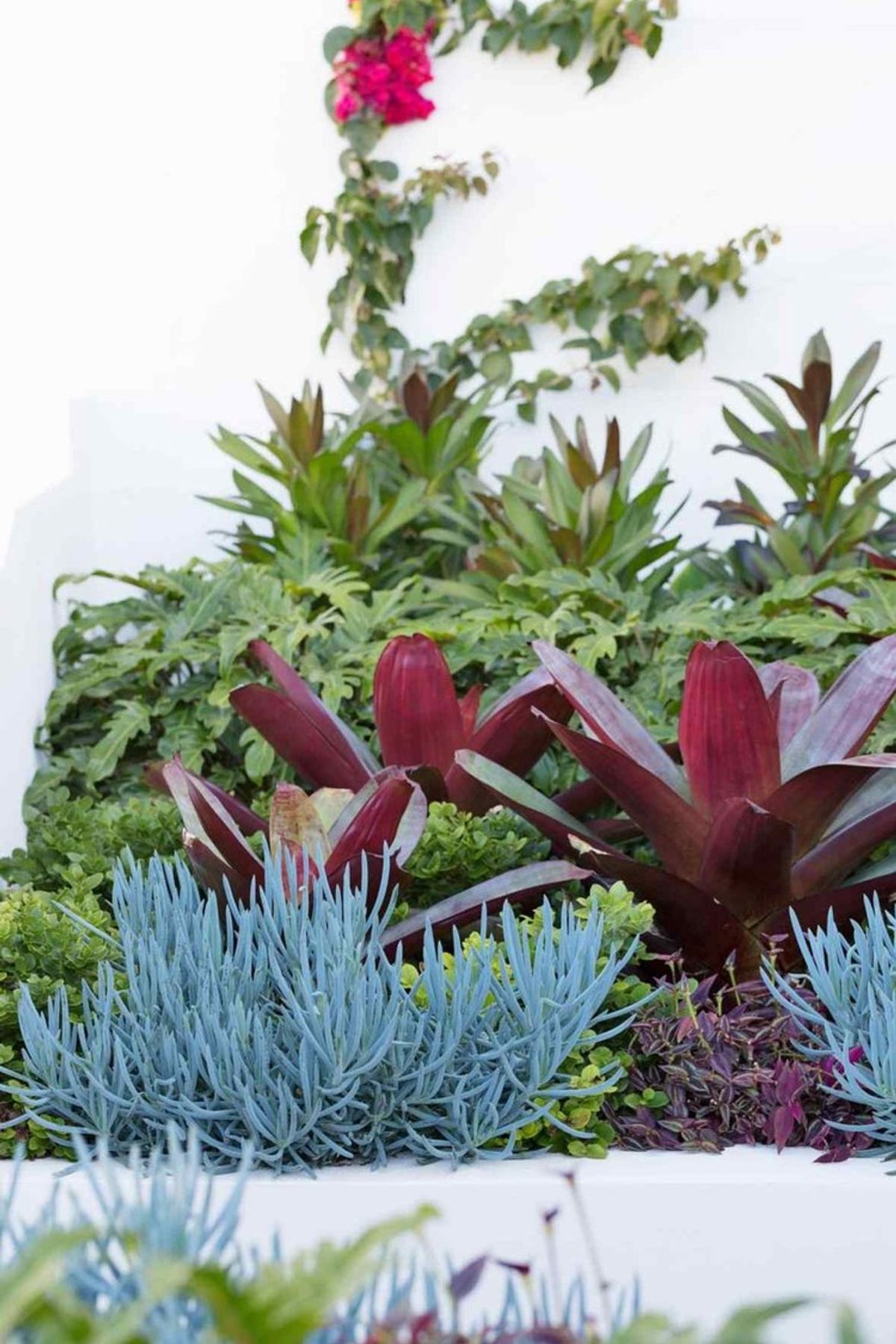 Rozelle - Garden 2