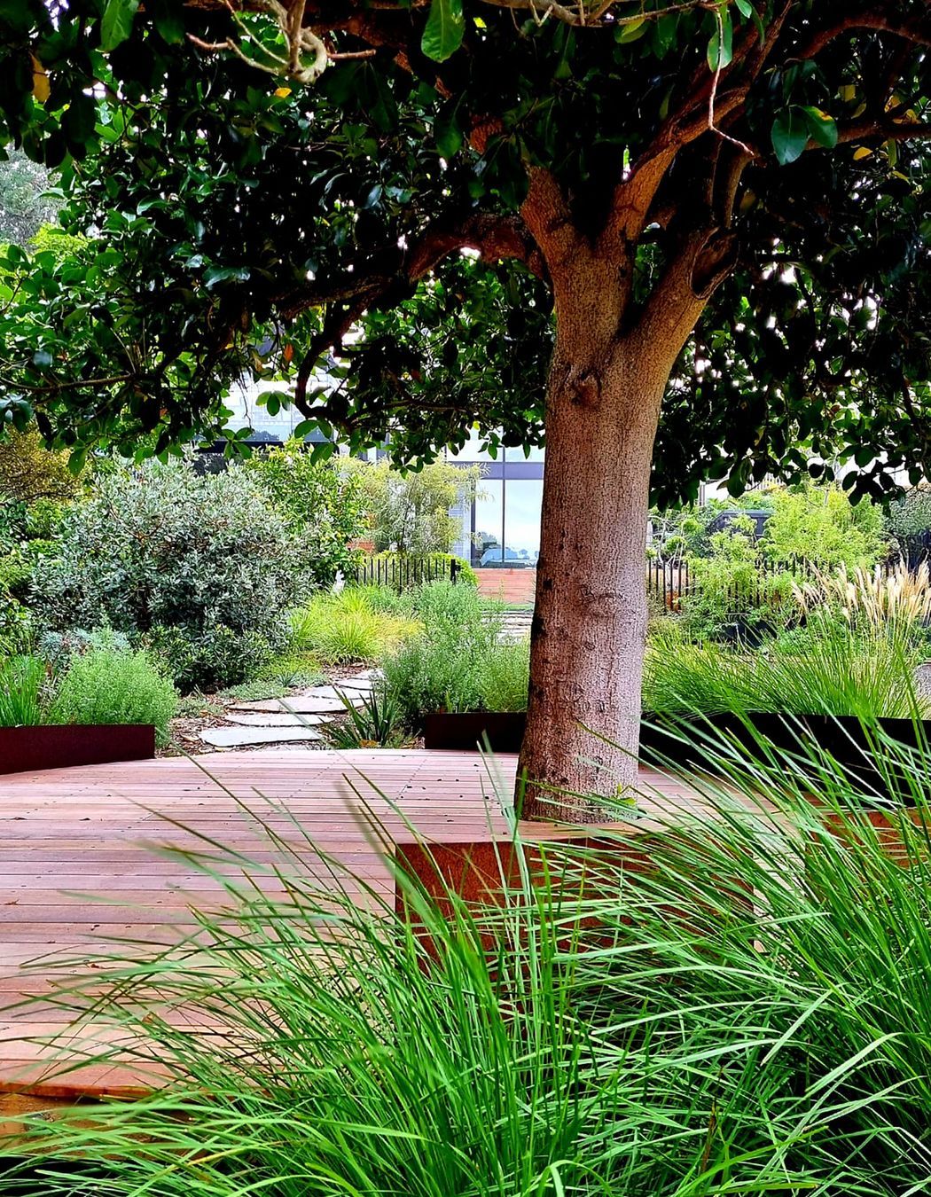 Birkenhead Point Garden