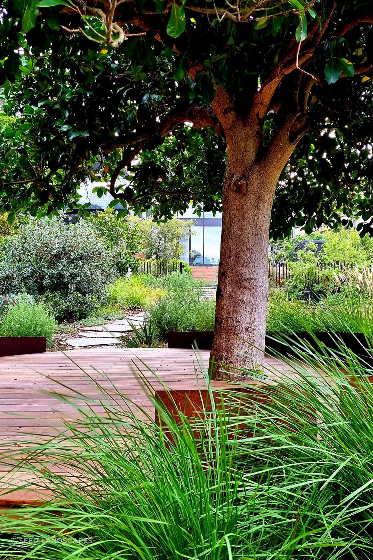 Birkenhead Point Garden