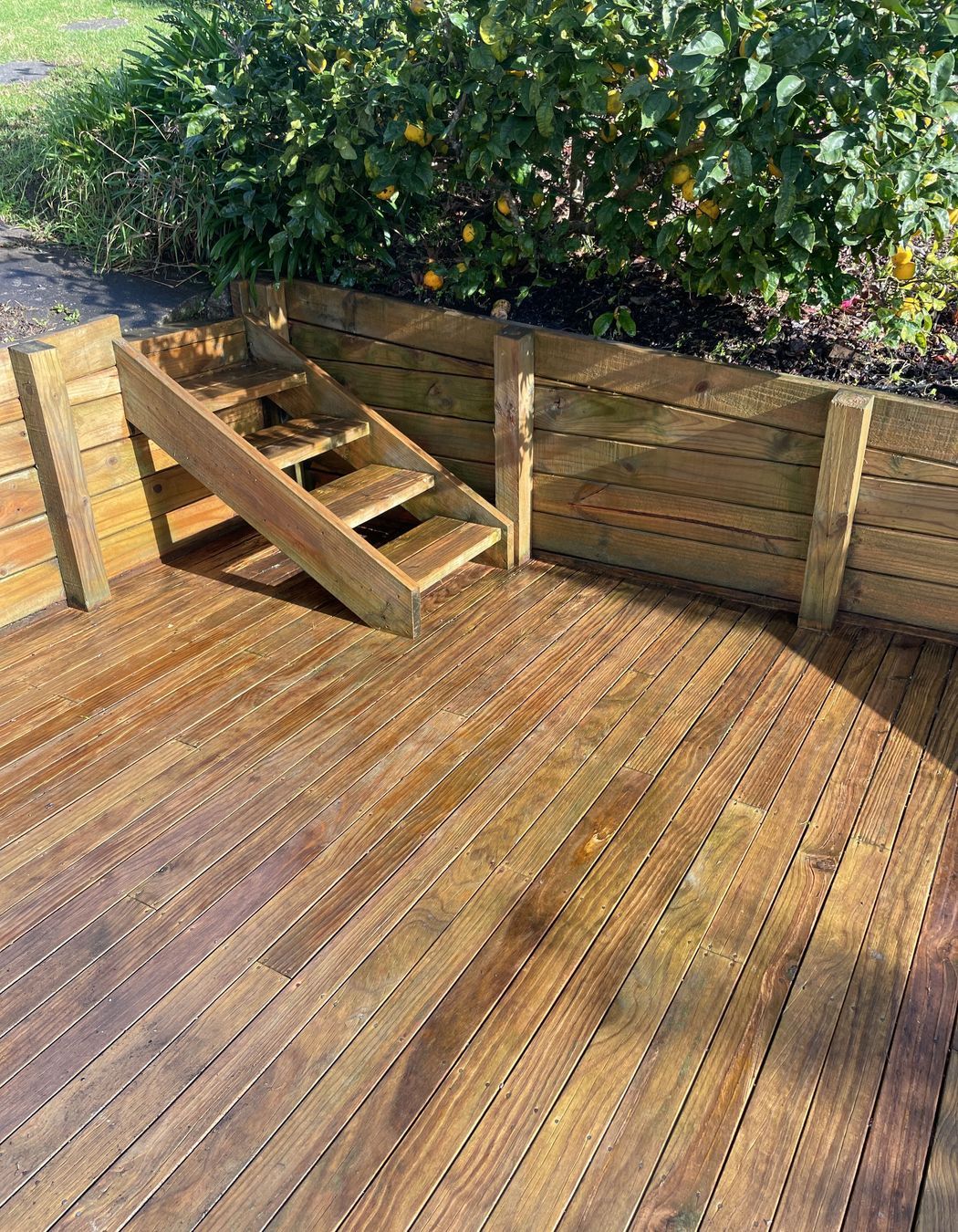 Before and After Photos