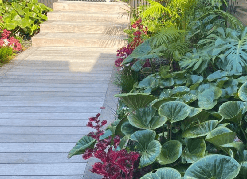 Bali in the Bays