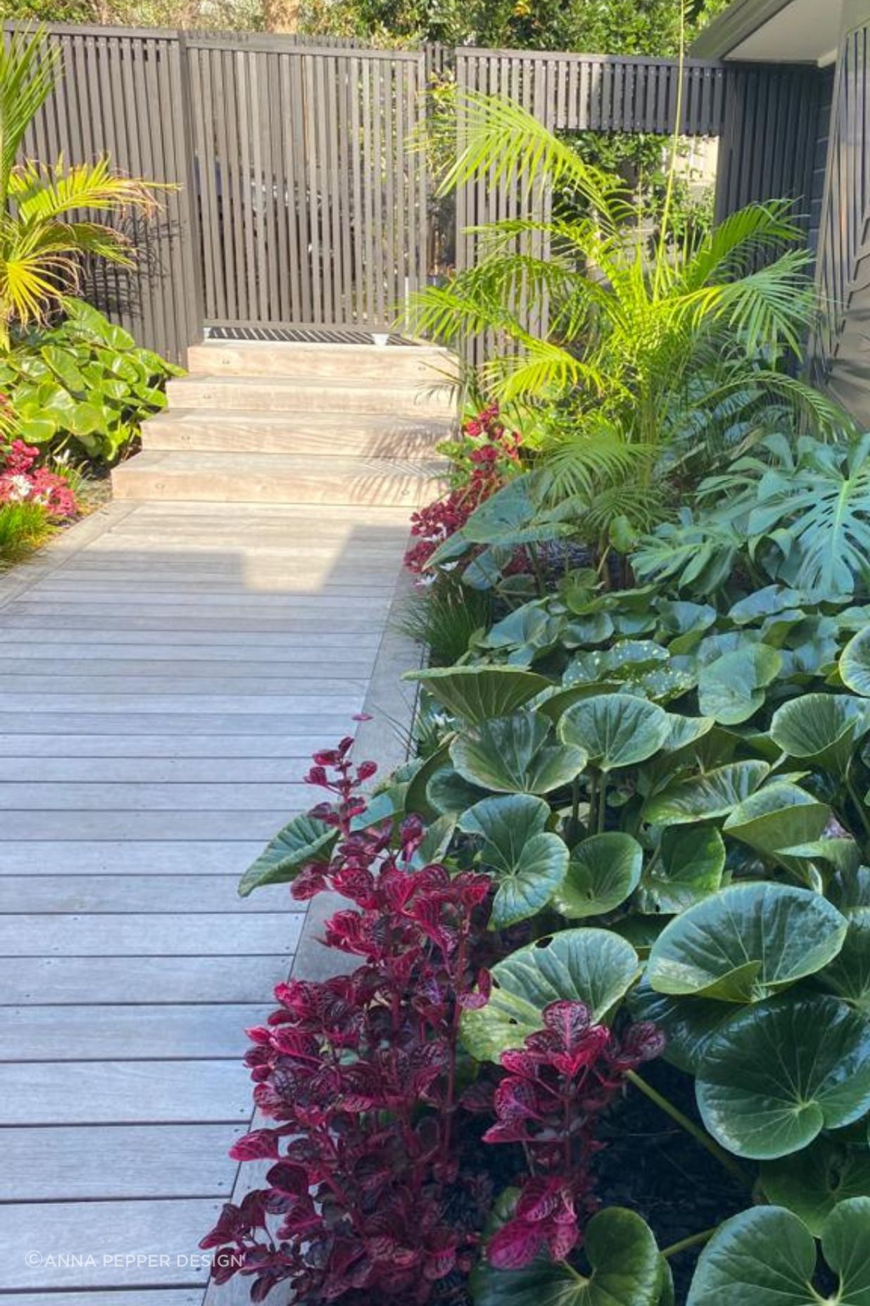 Bali in the Bays