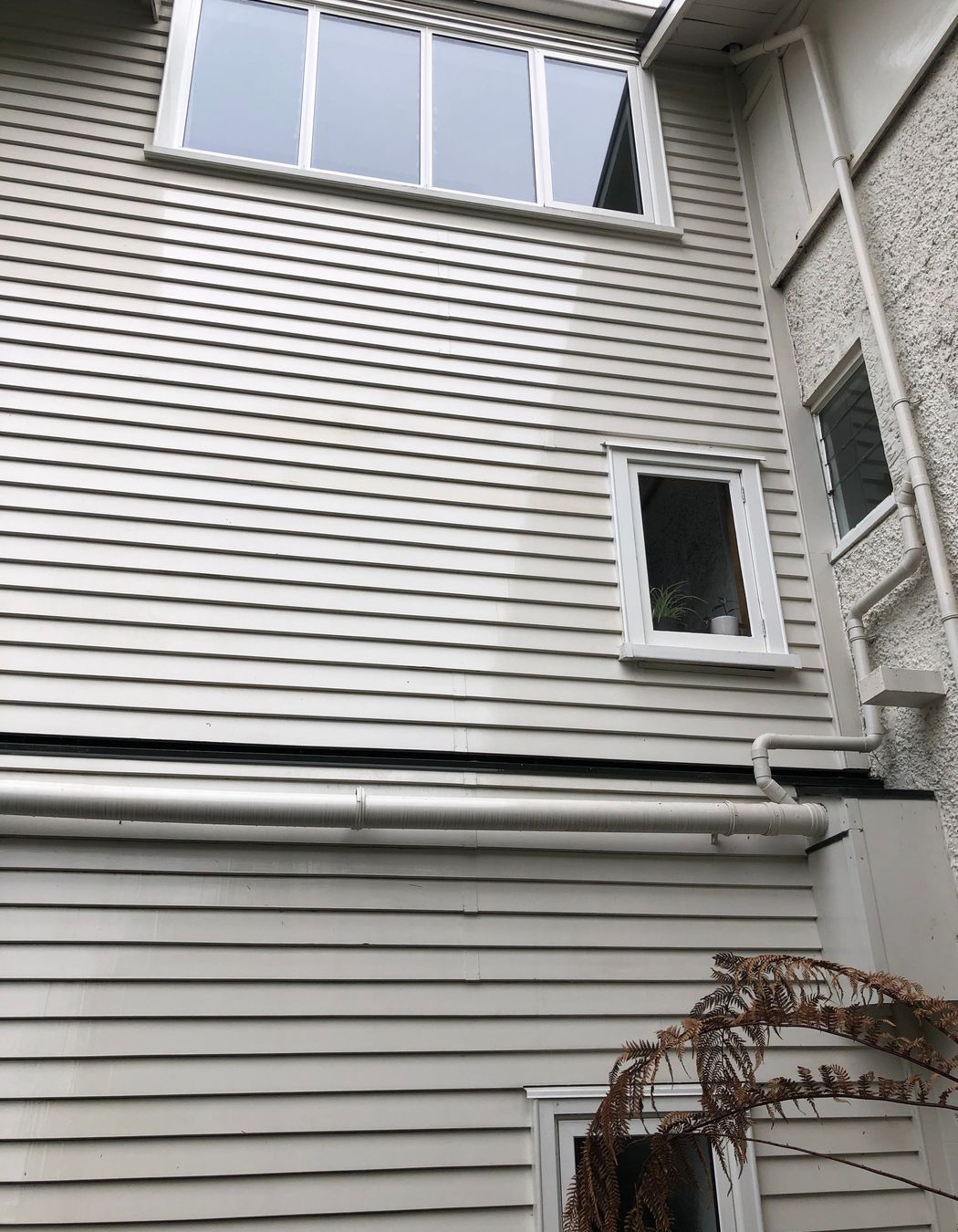 Before and After Photos