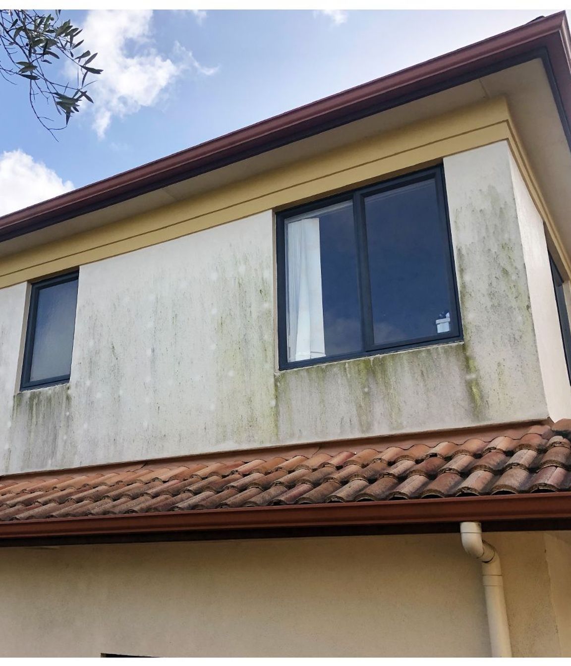 Before and After Photos