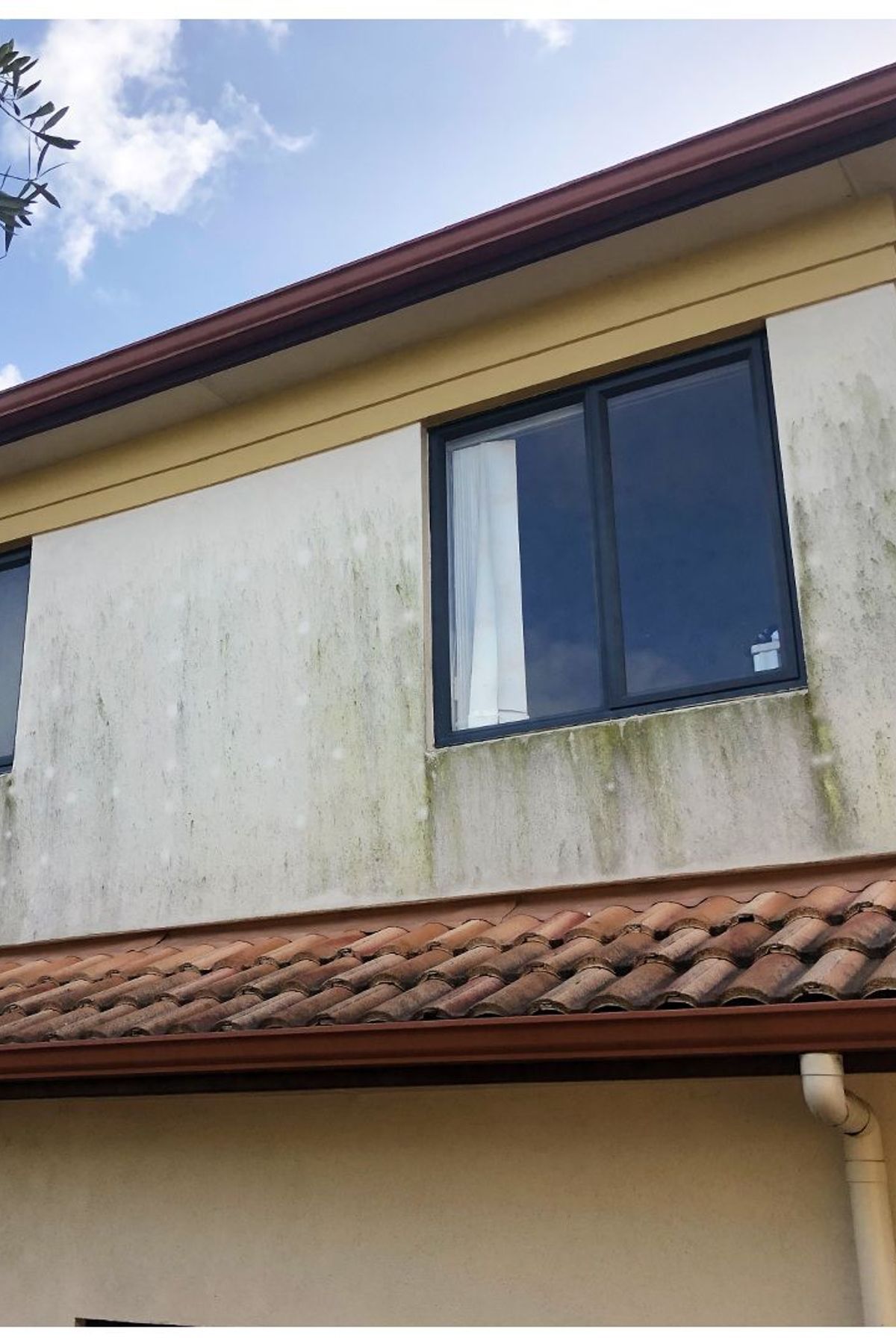 Before and After Photos