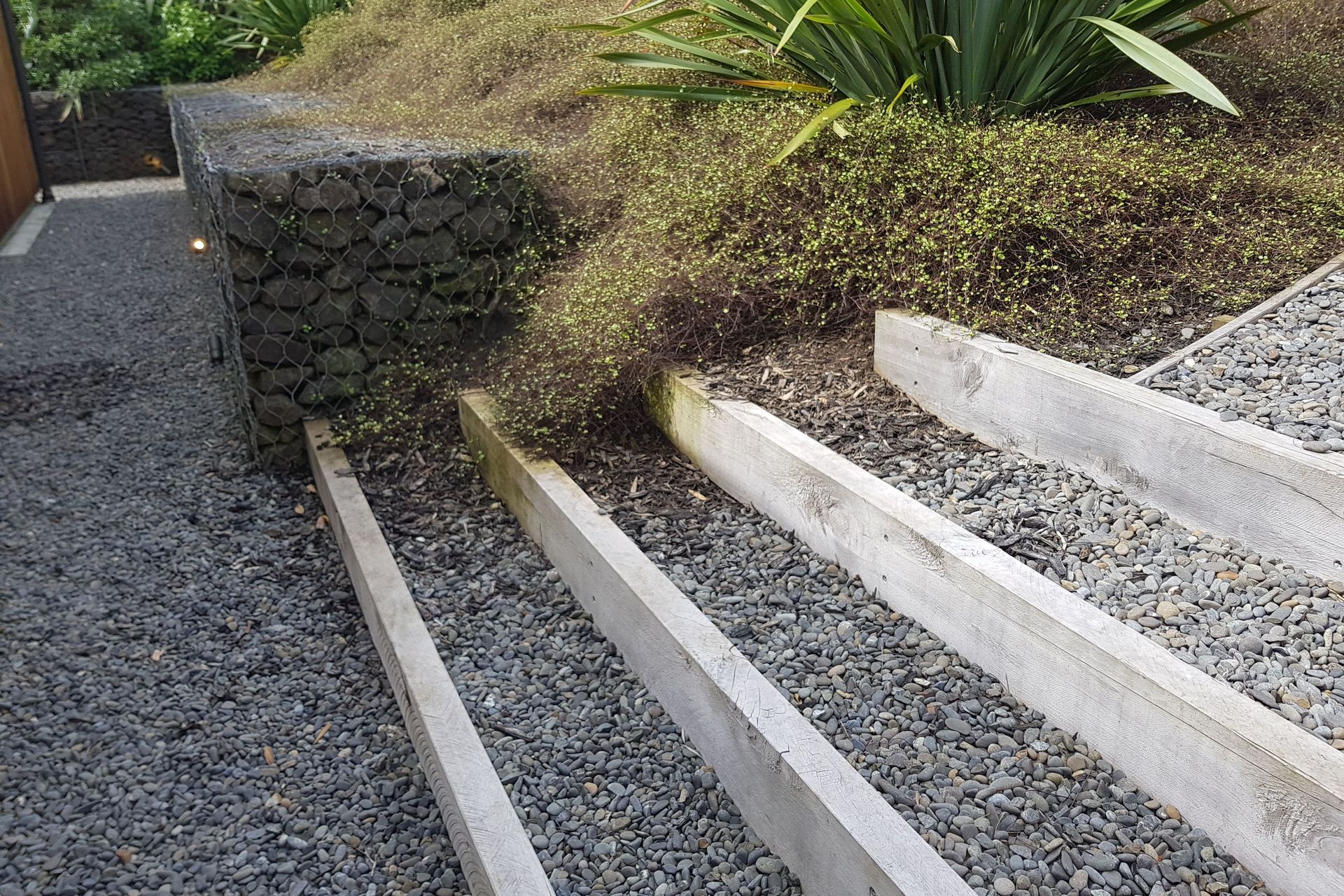 Jackie Meiring Photography