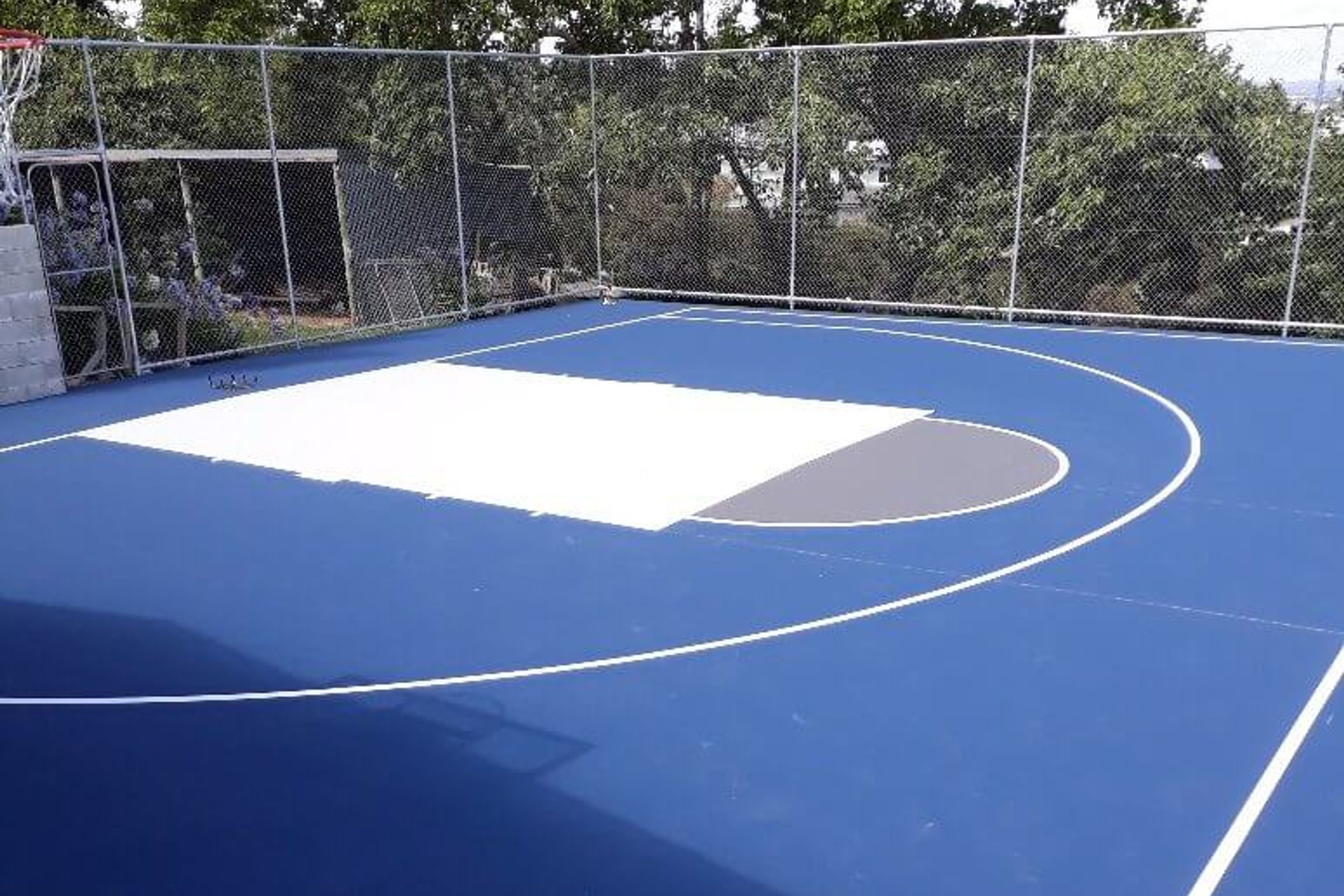 Backyard Basketball is better on a synthetic surface