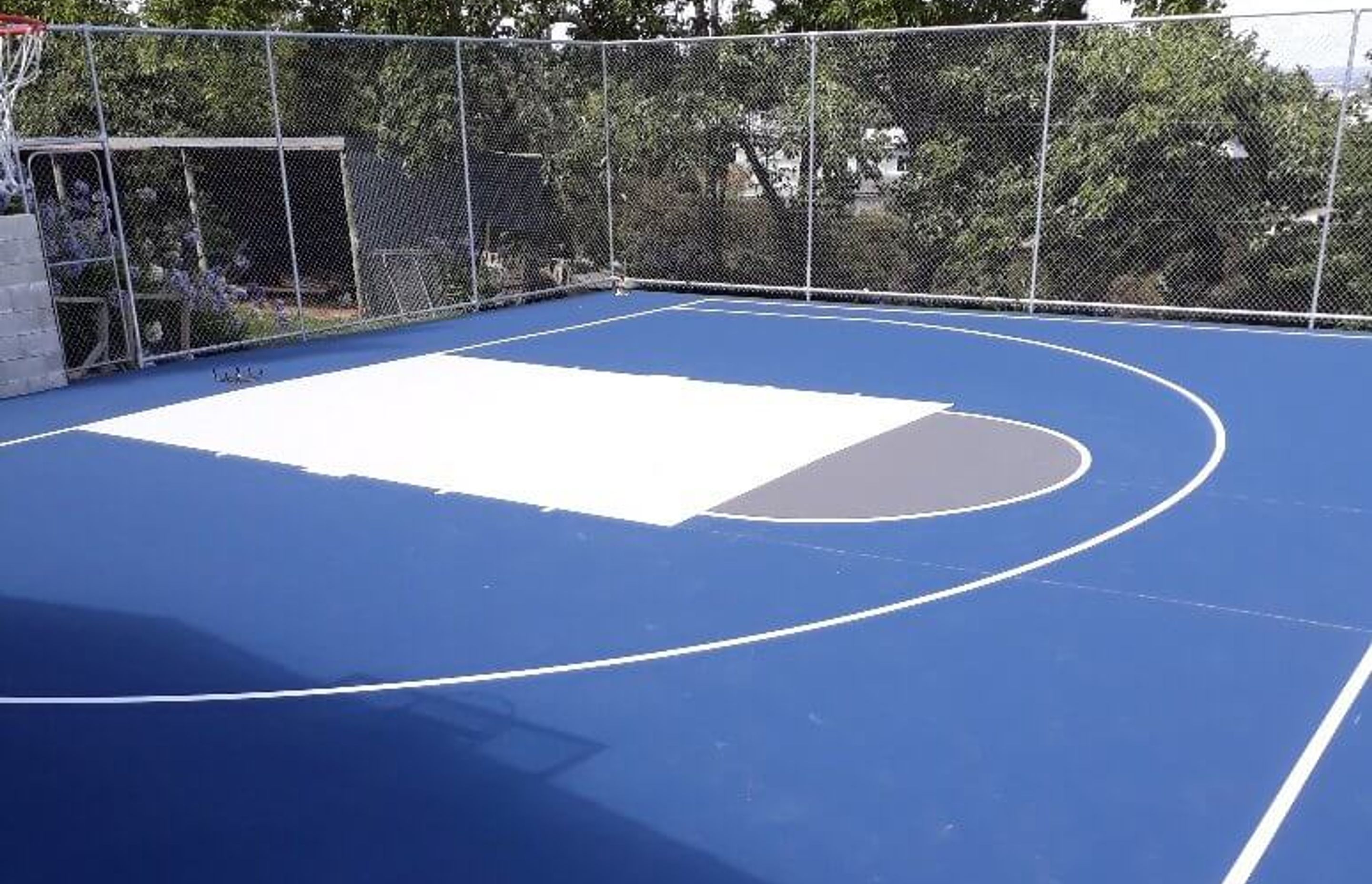 Backyard Basketball is better on a synthetic surface