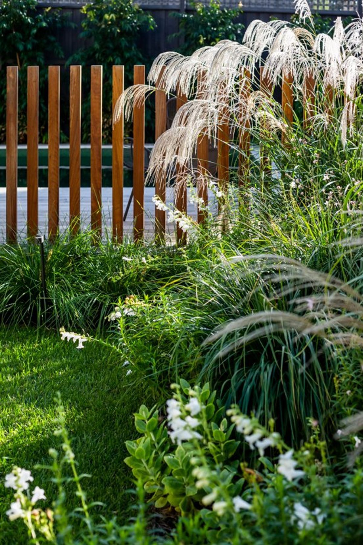Hornbeam Garden