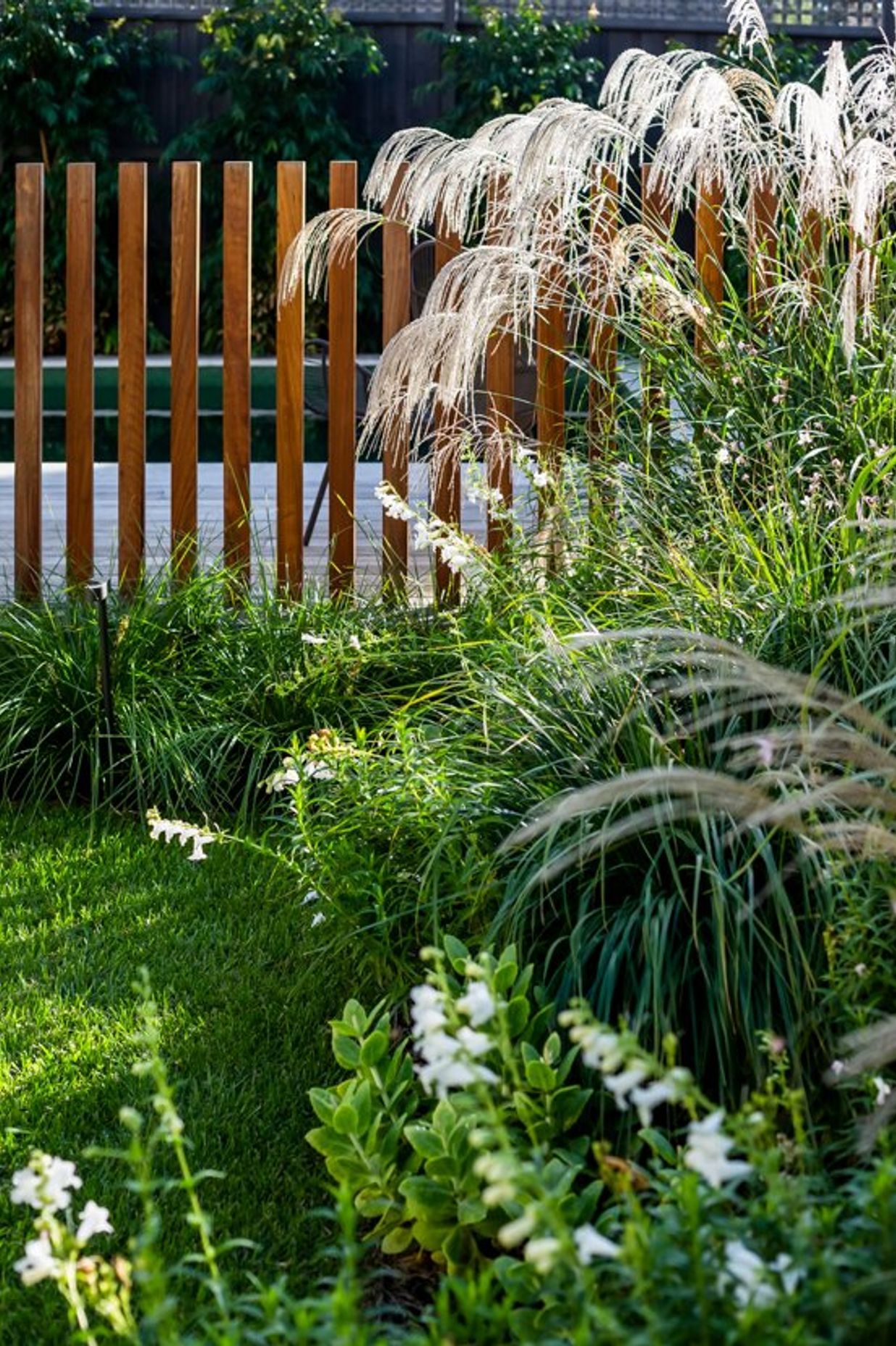 Hornbeam Garden