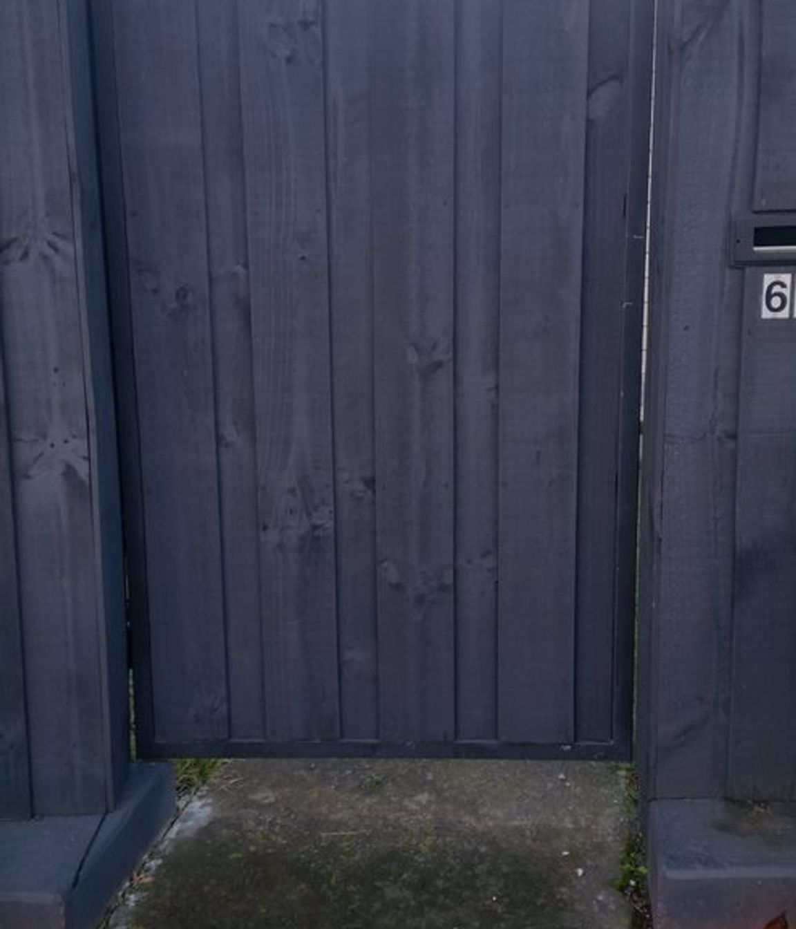Pedestrian Gates