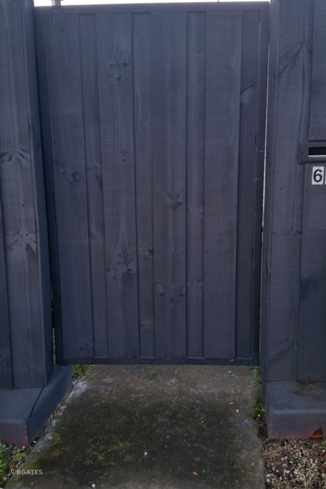 Pedestrian Gates
