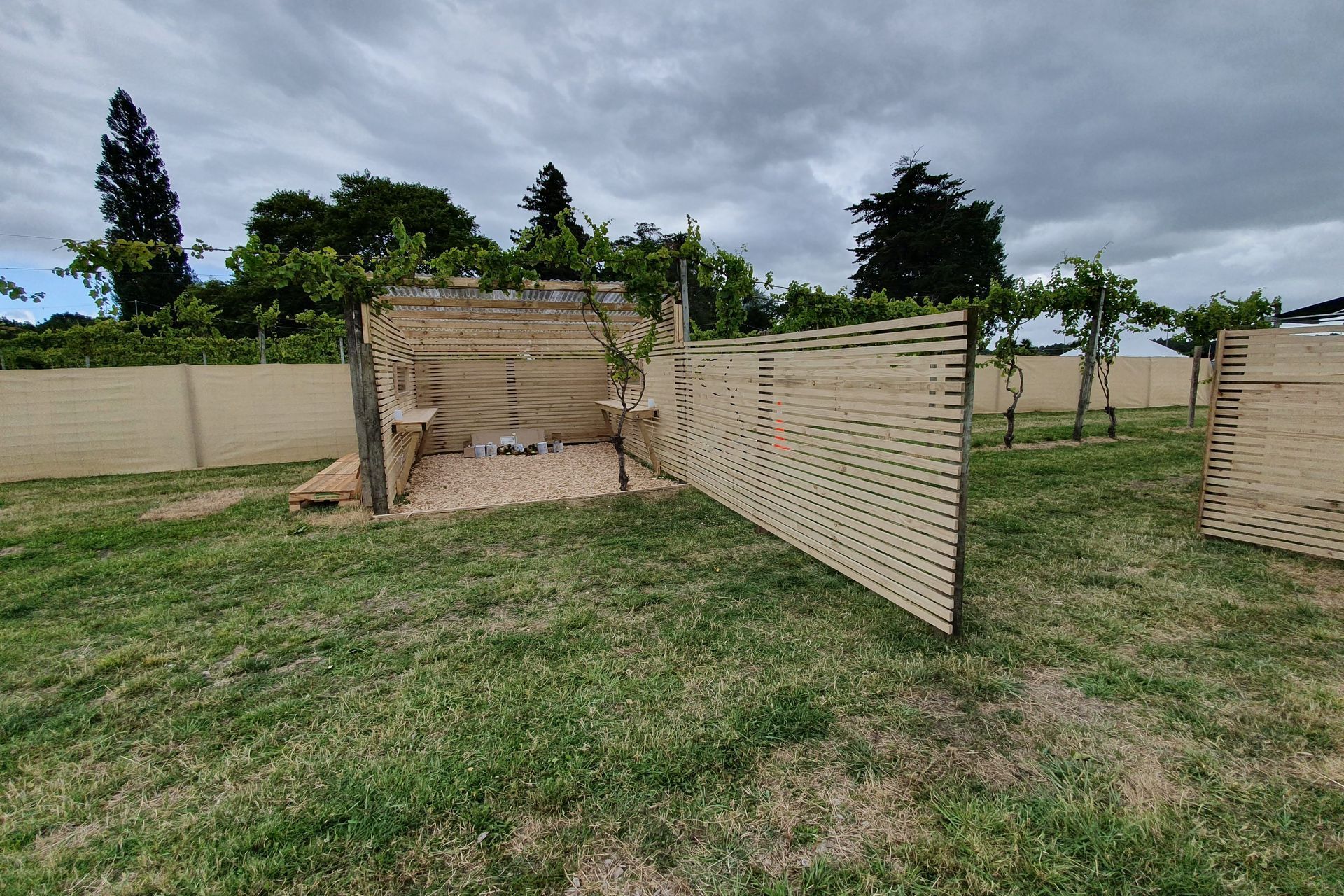 Rhythm & Vines VIP section