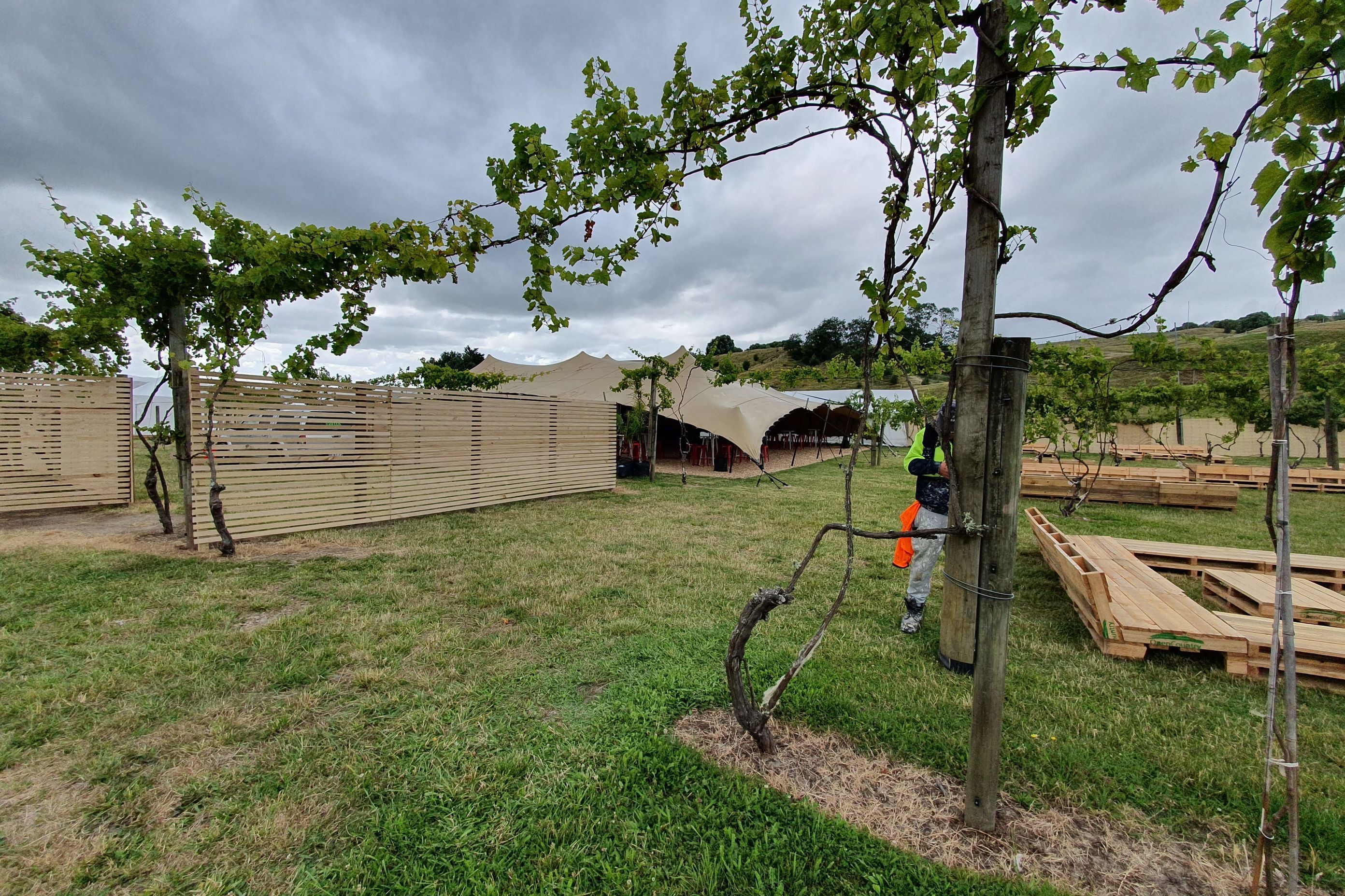 Rhythm &amp; Vines VIP section