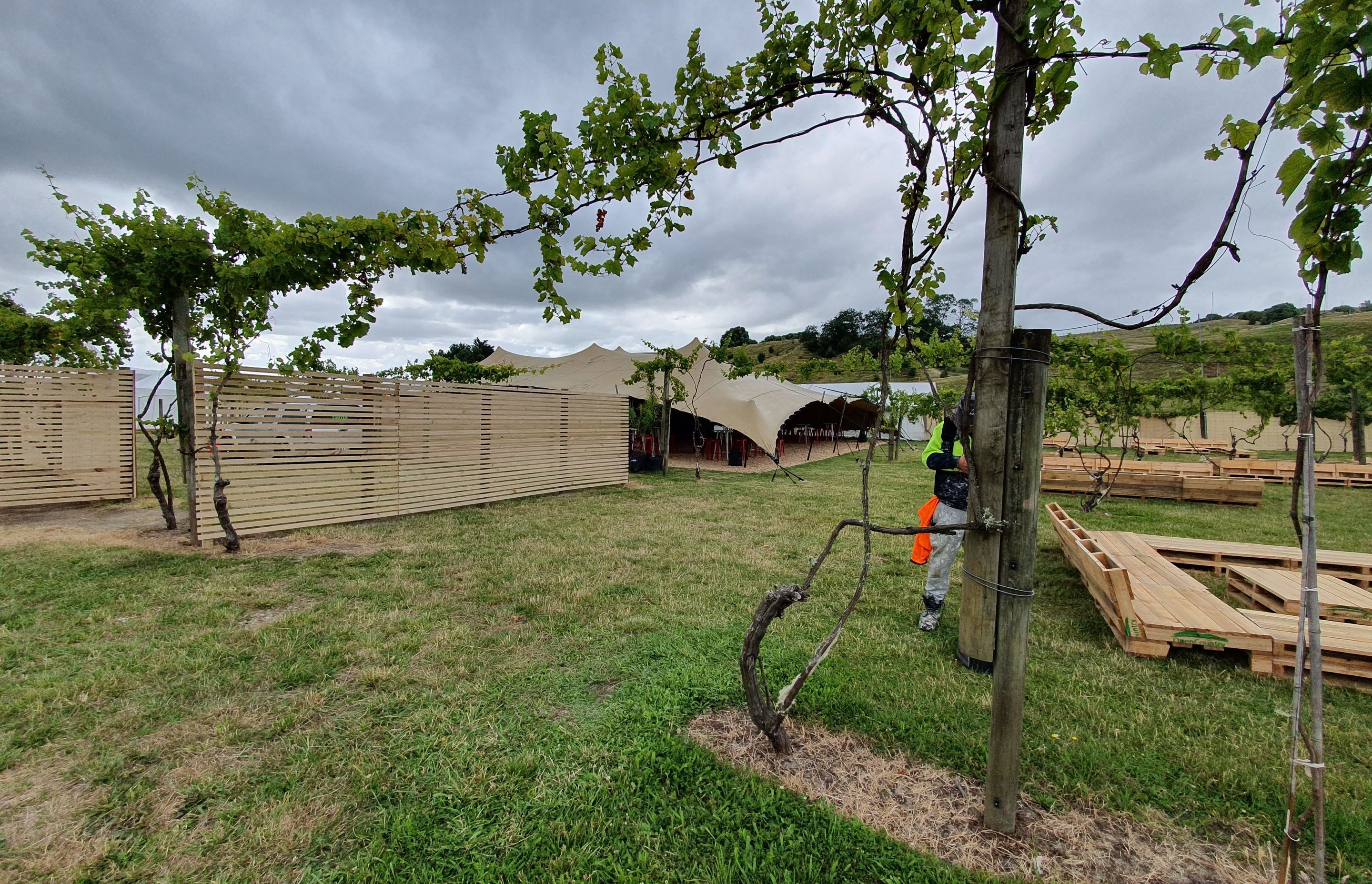 Rhythm &amp; Vines VIP section