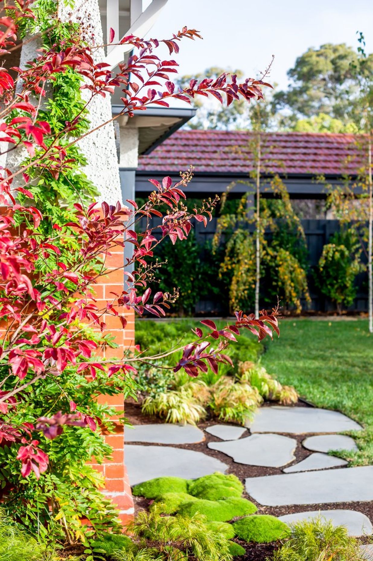 Crepe Myrtle Garden