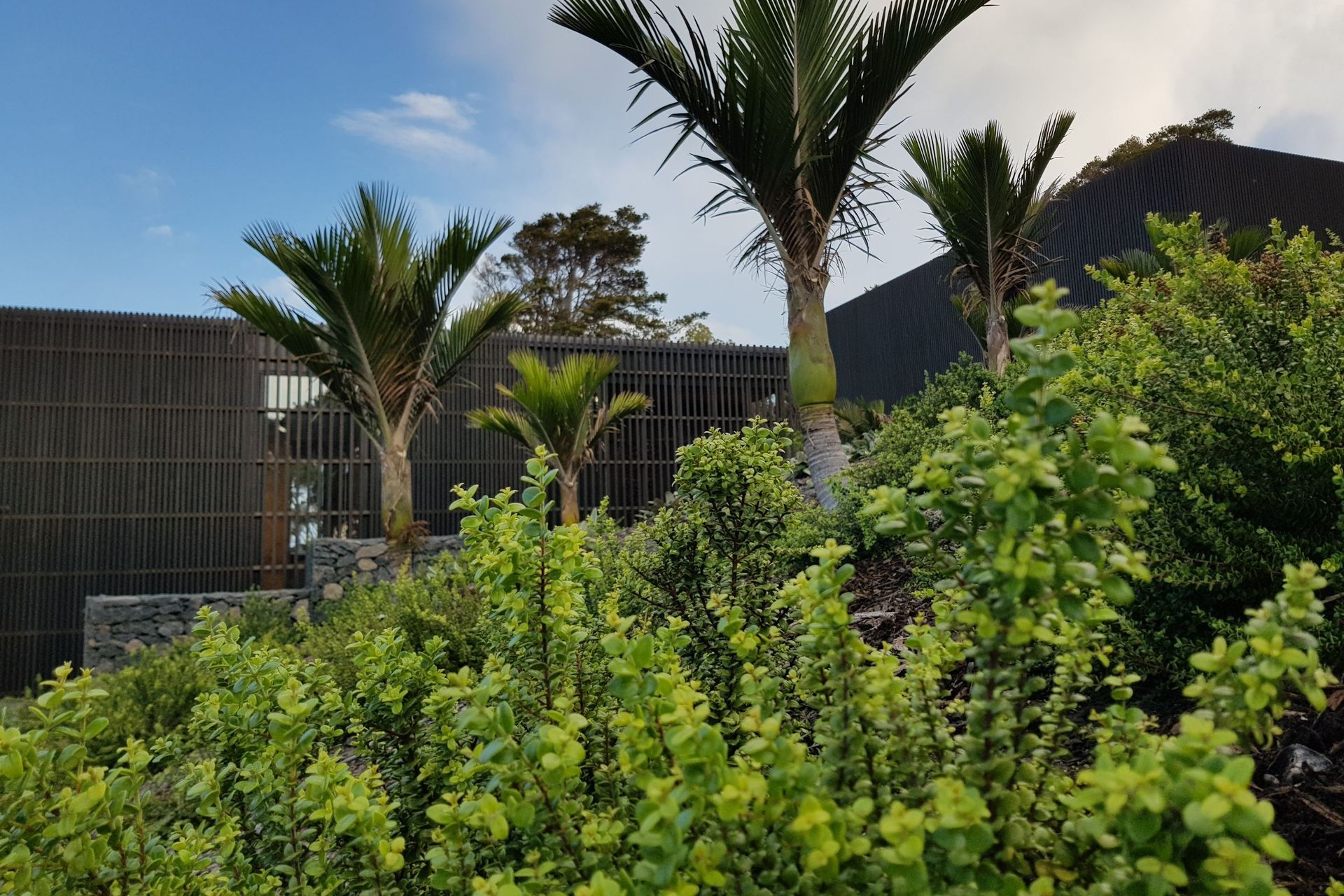 Jackie Meiring Photography