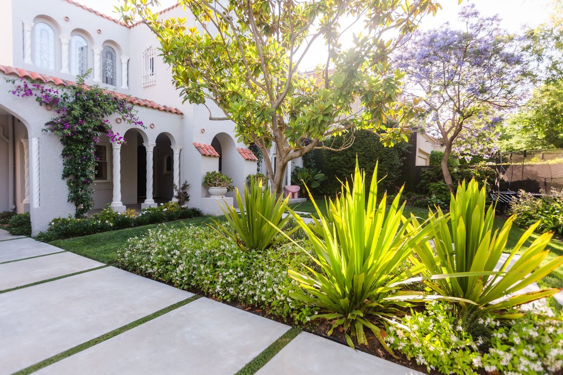 Bougainvillea Garden
