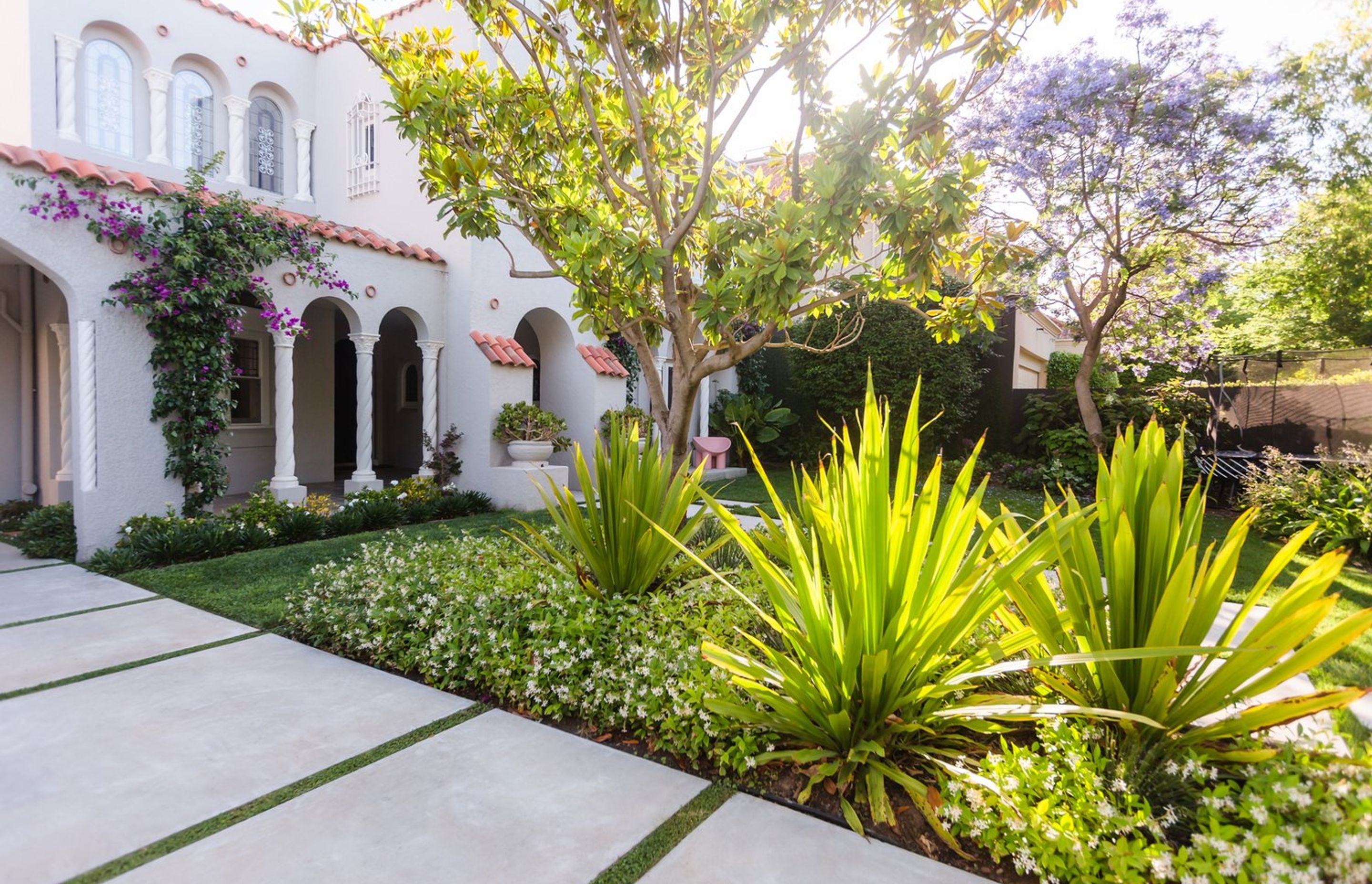 Bougainvillea Garden
