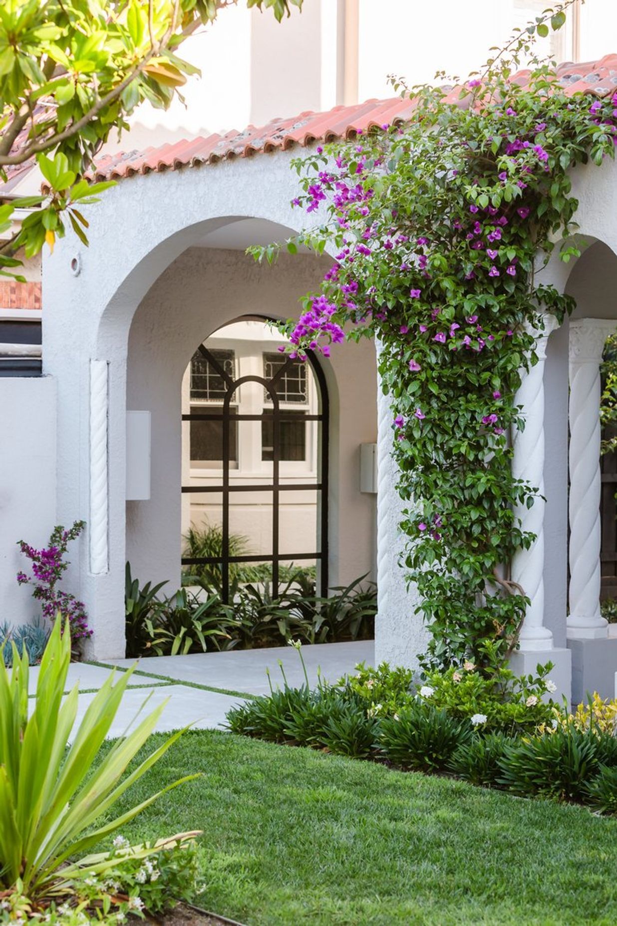 Bougainvillea Garden