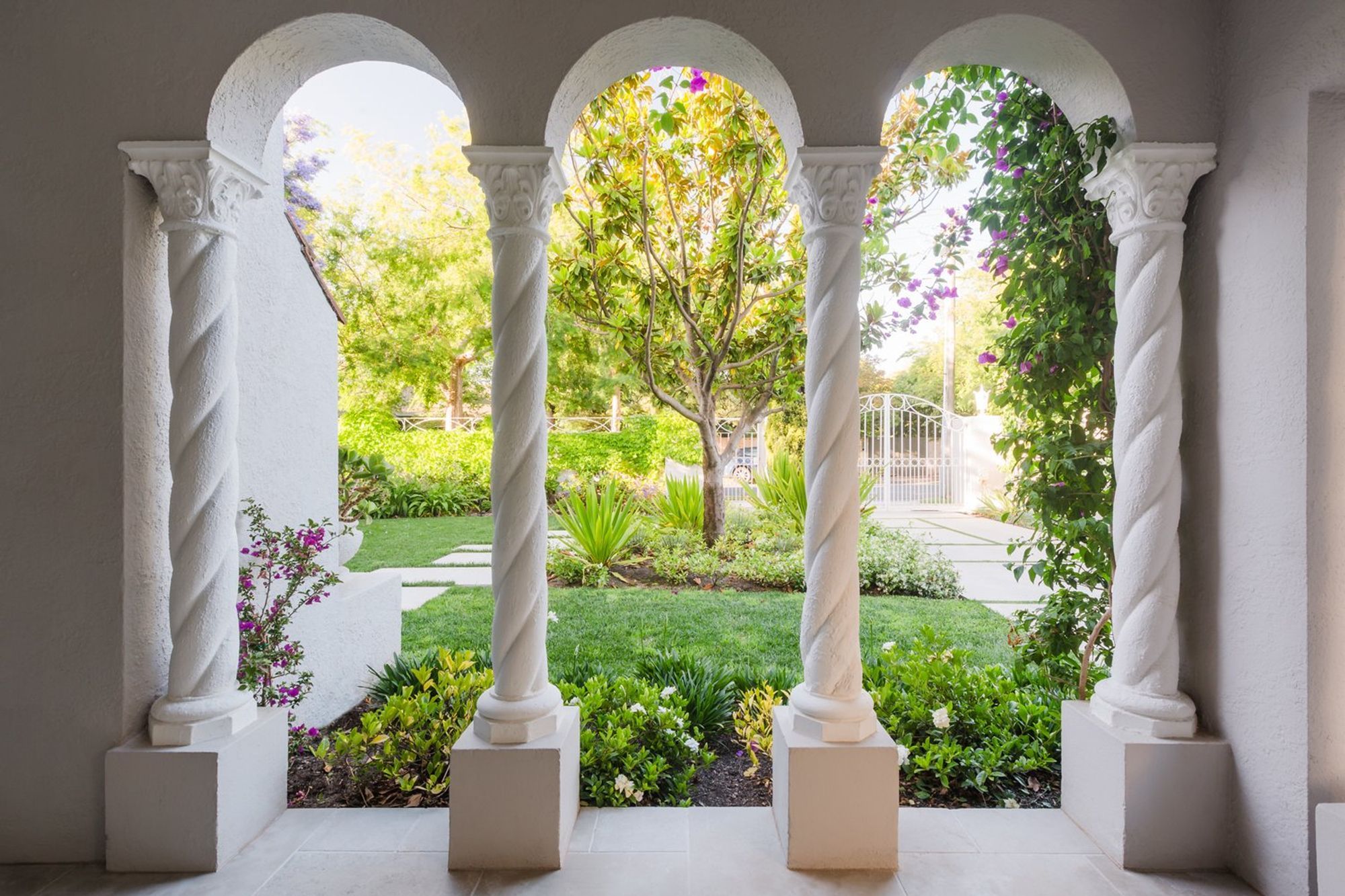 Bougainvillea Garden