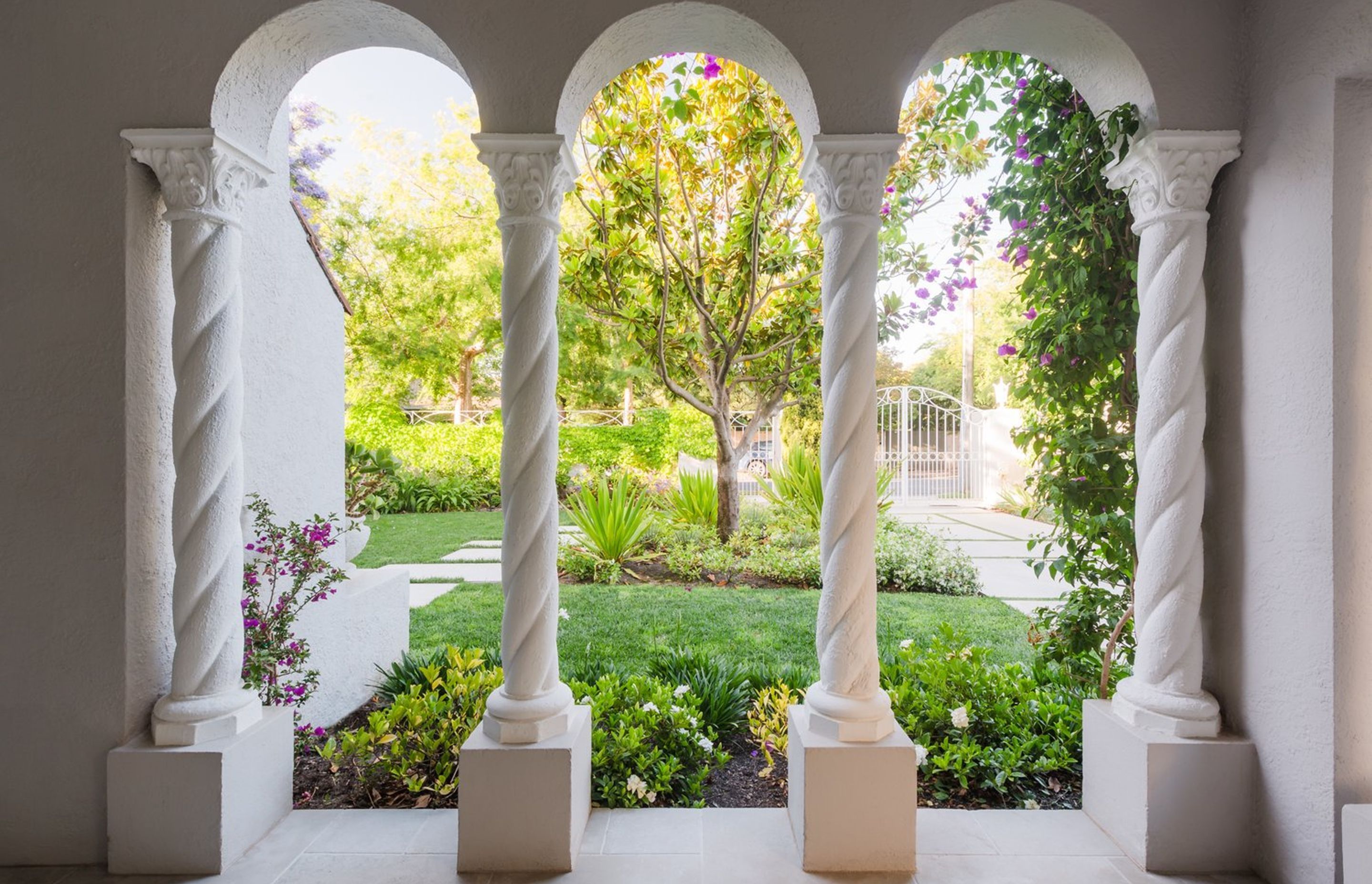Bougainvillea Garden