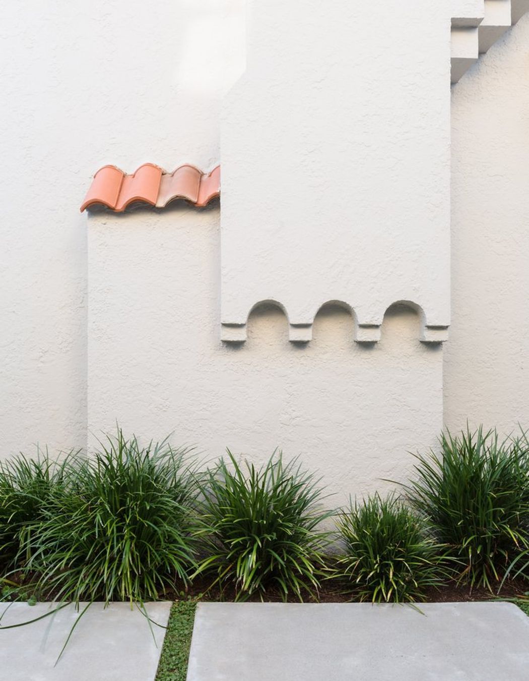 Bougainvillea Garden