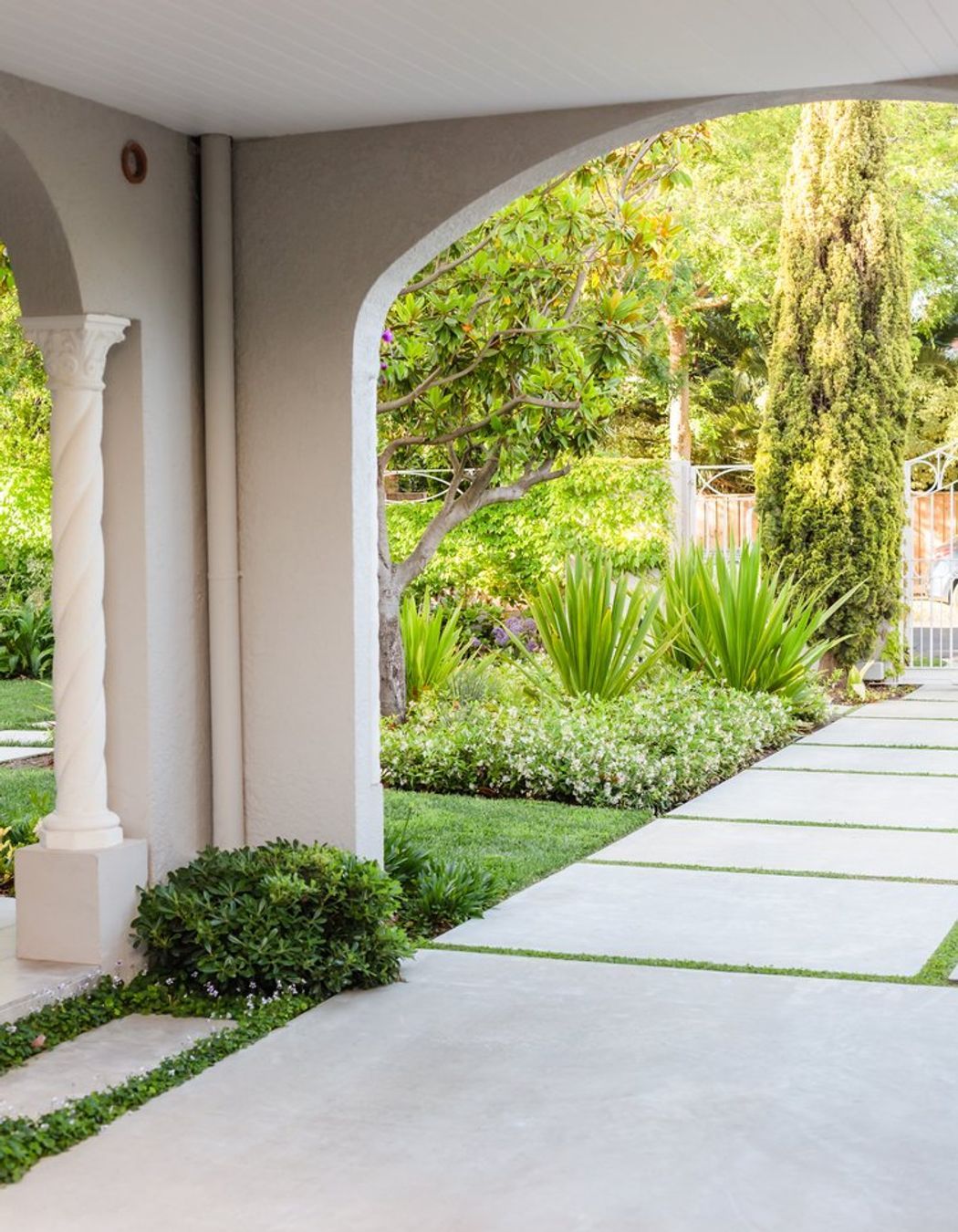 Bougainvillea Garden