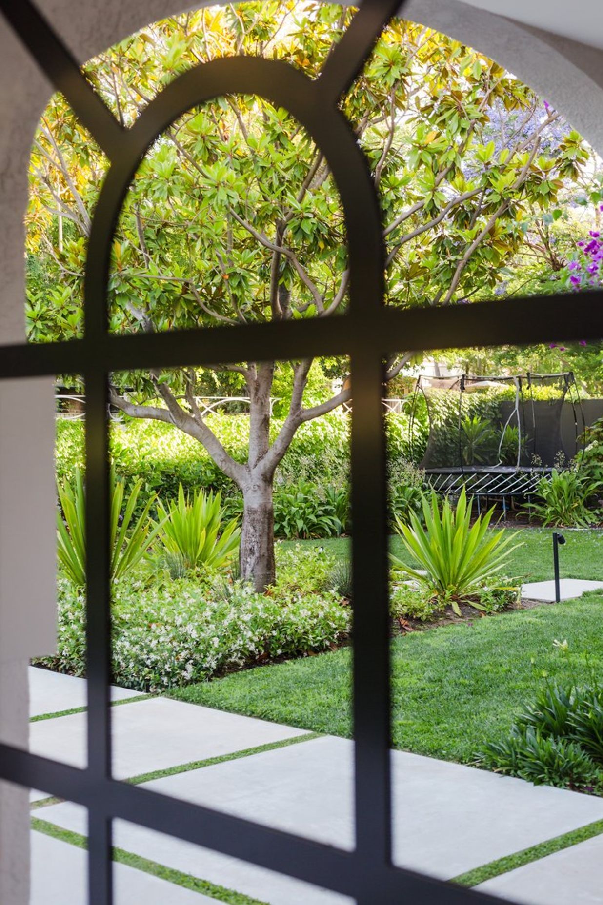 Bougainvillea Garden