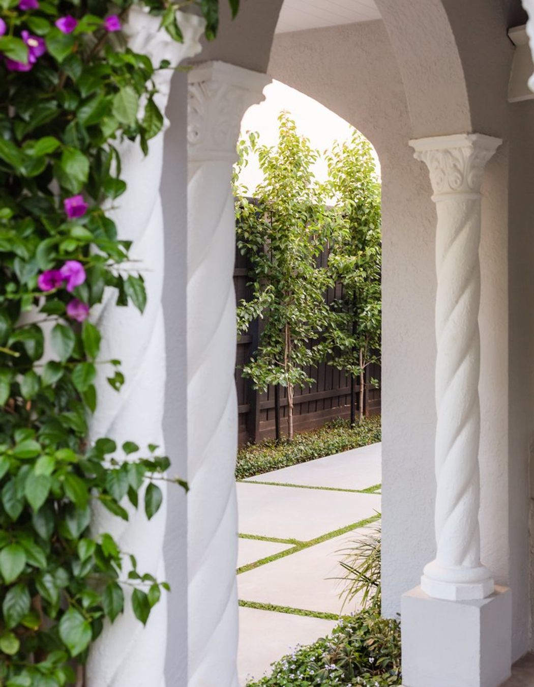 Bougainvillea Garden