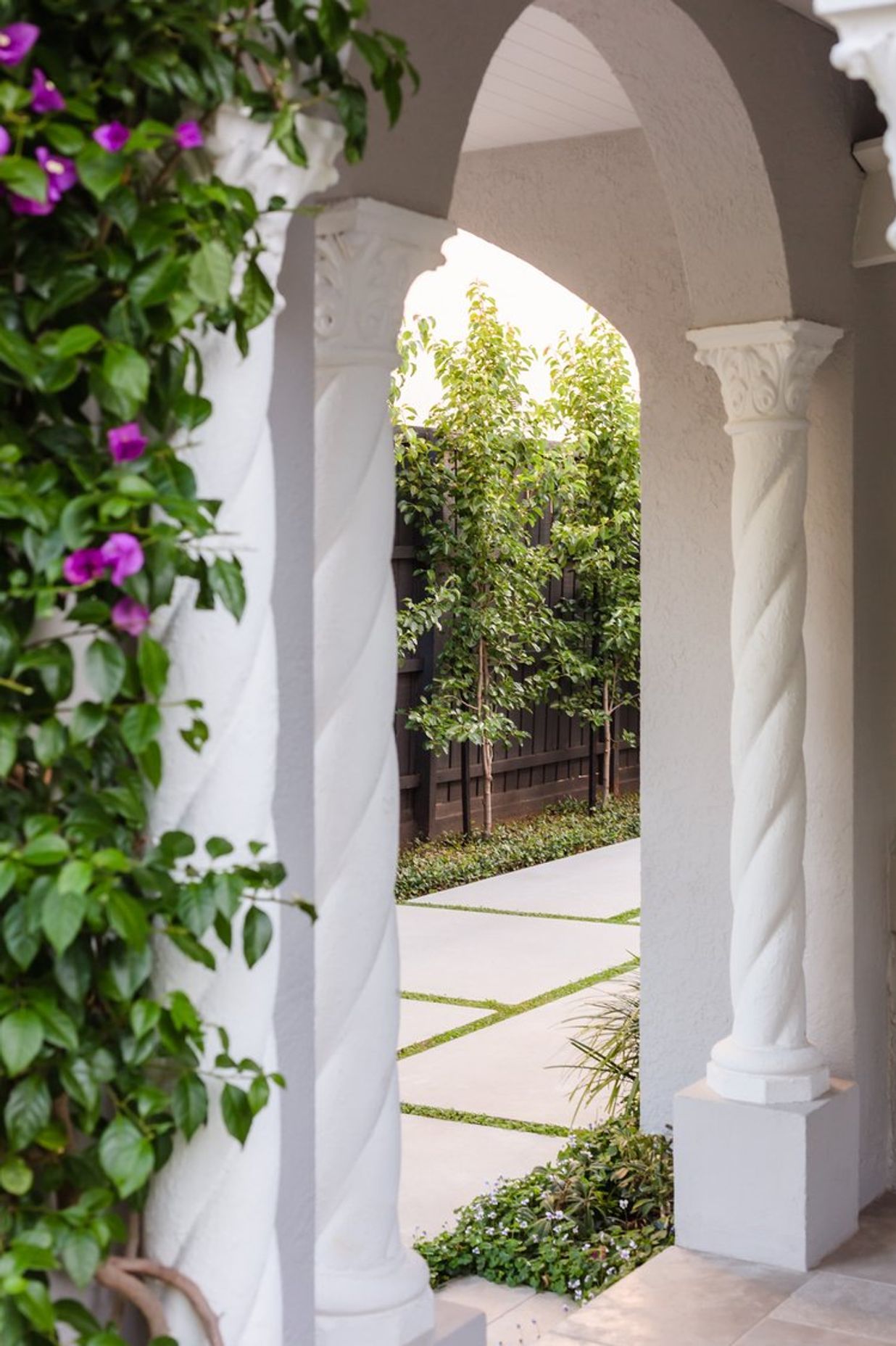 Bougainvillea Garden