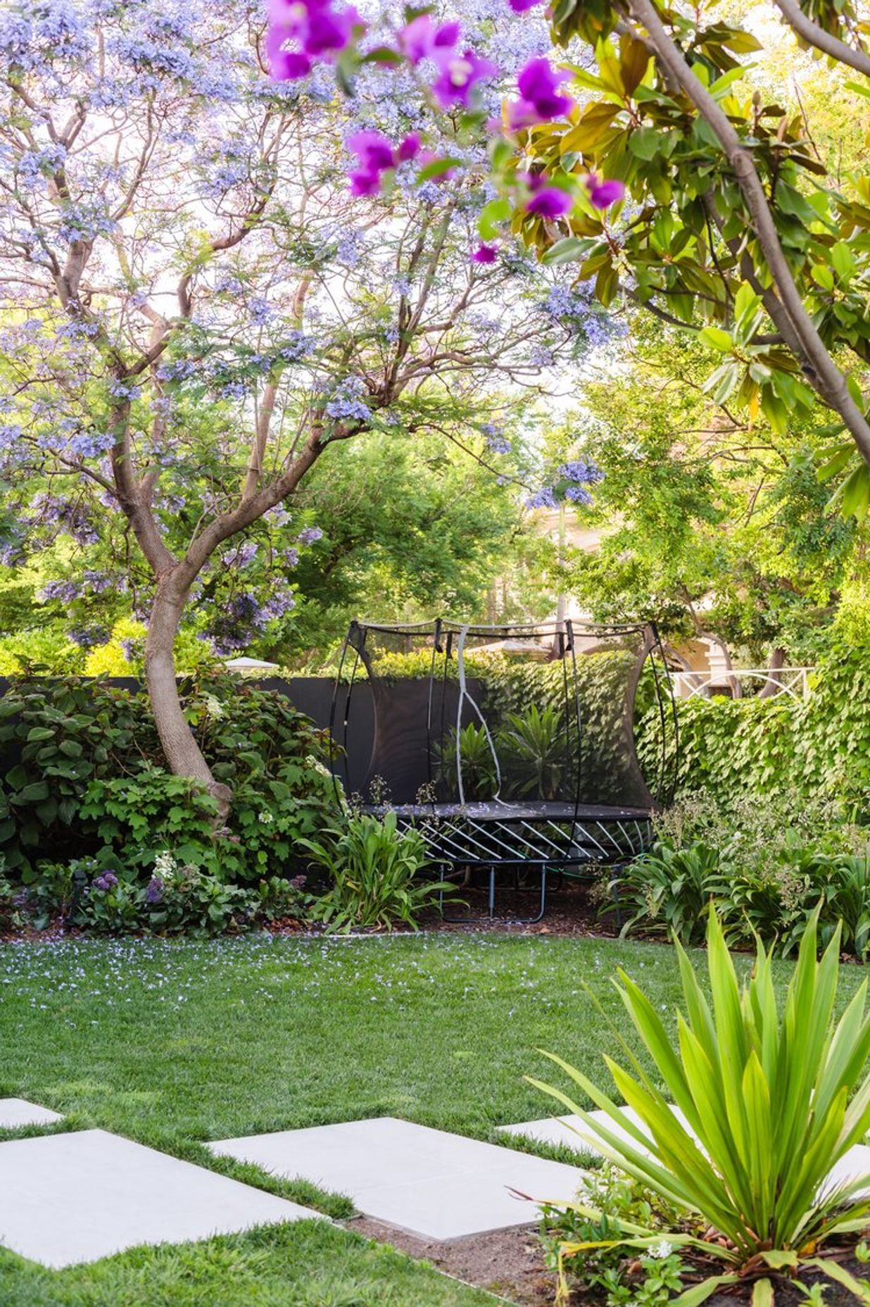Bougainvillea Garden