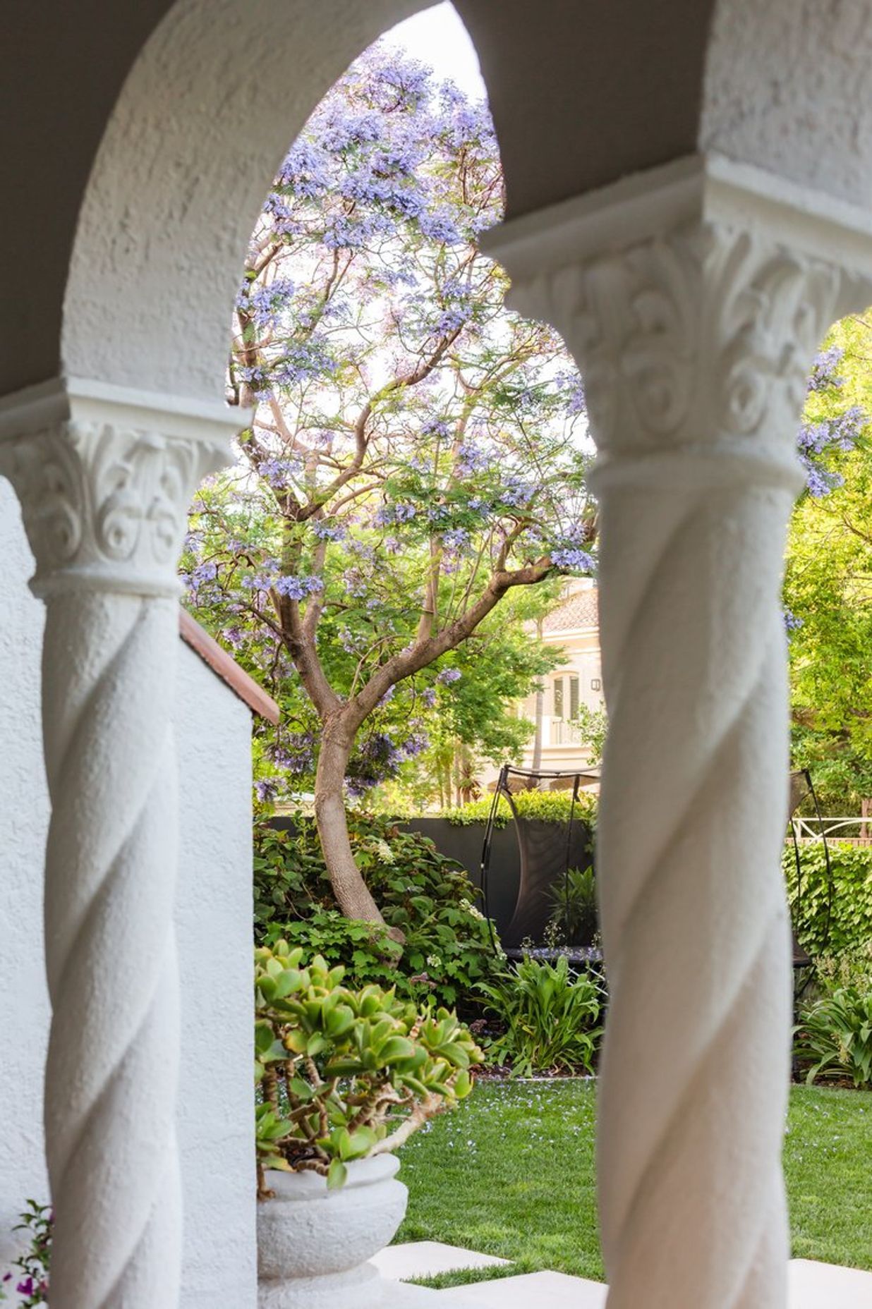 Bougainvillea Garden