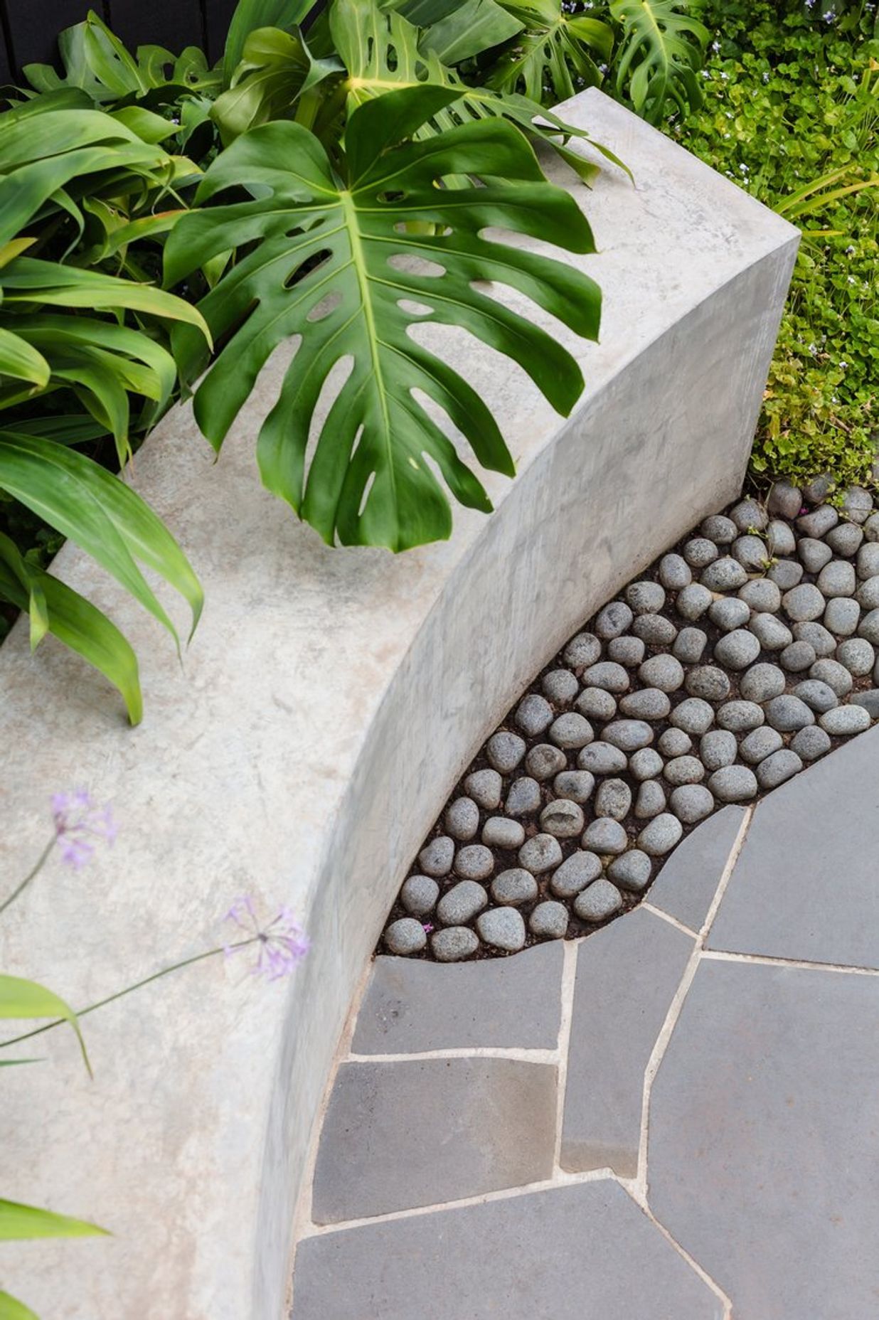Strelitzia Garden