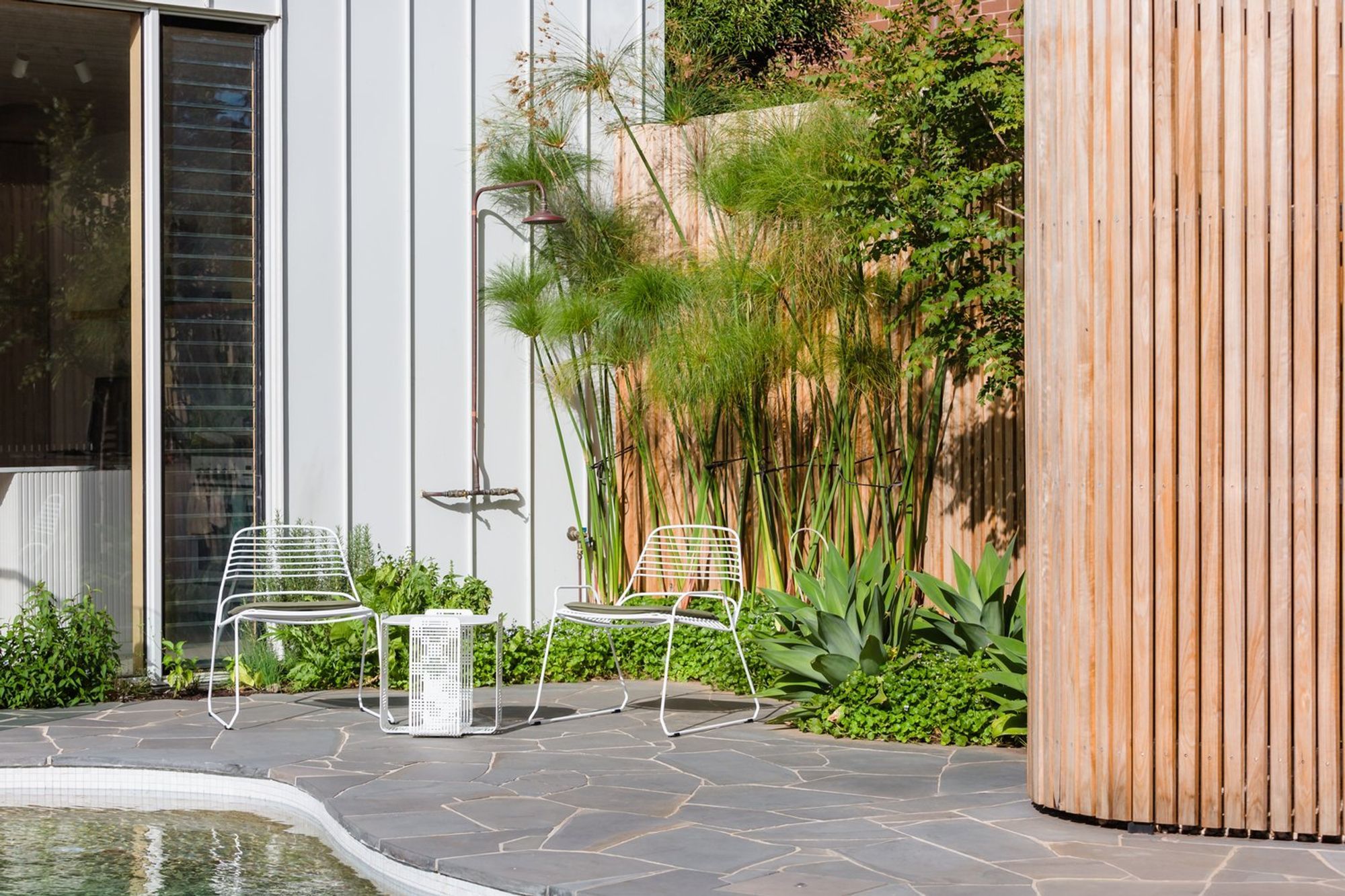 Strelitzia Garden