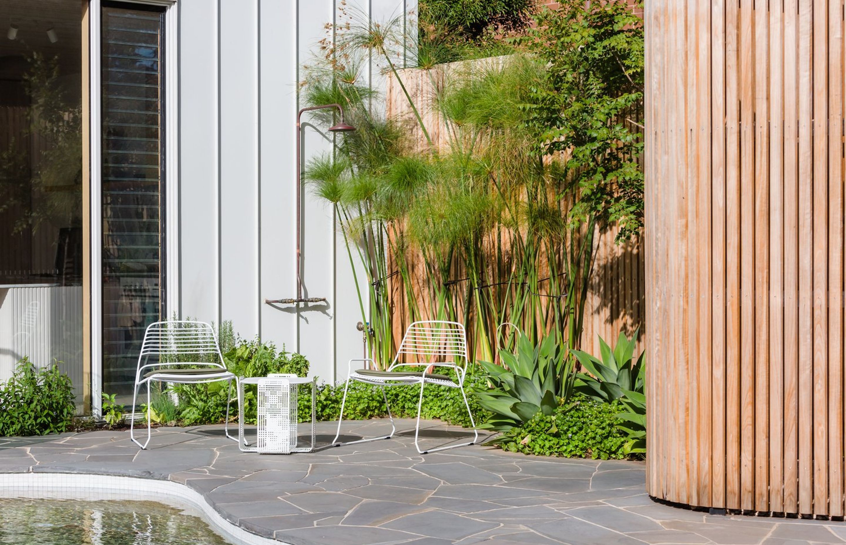 Strelitzia Garden
