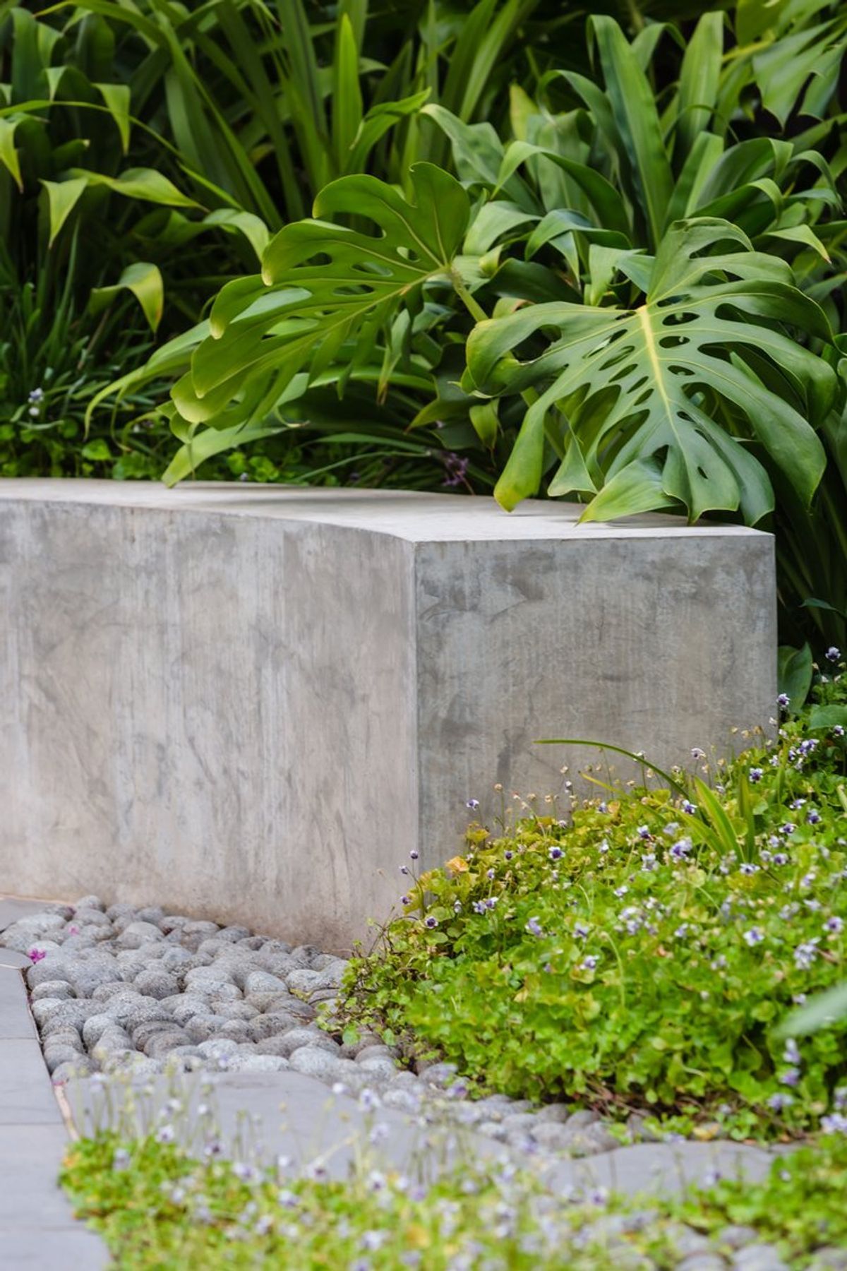 Strelitzia Garden