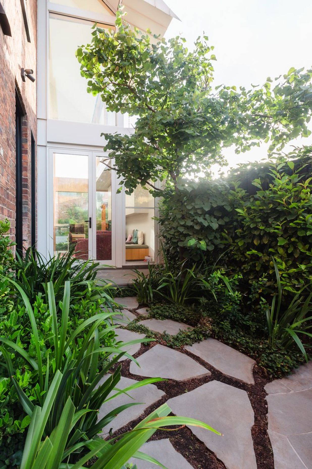 Strelitzia Garden